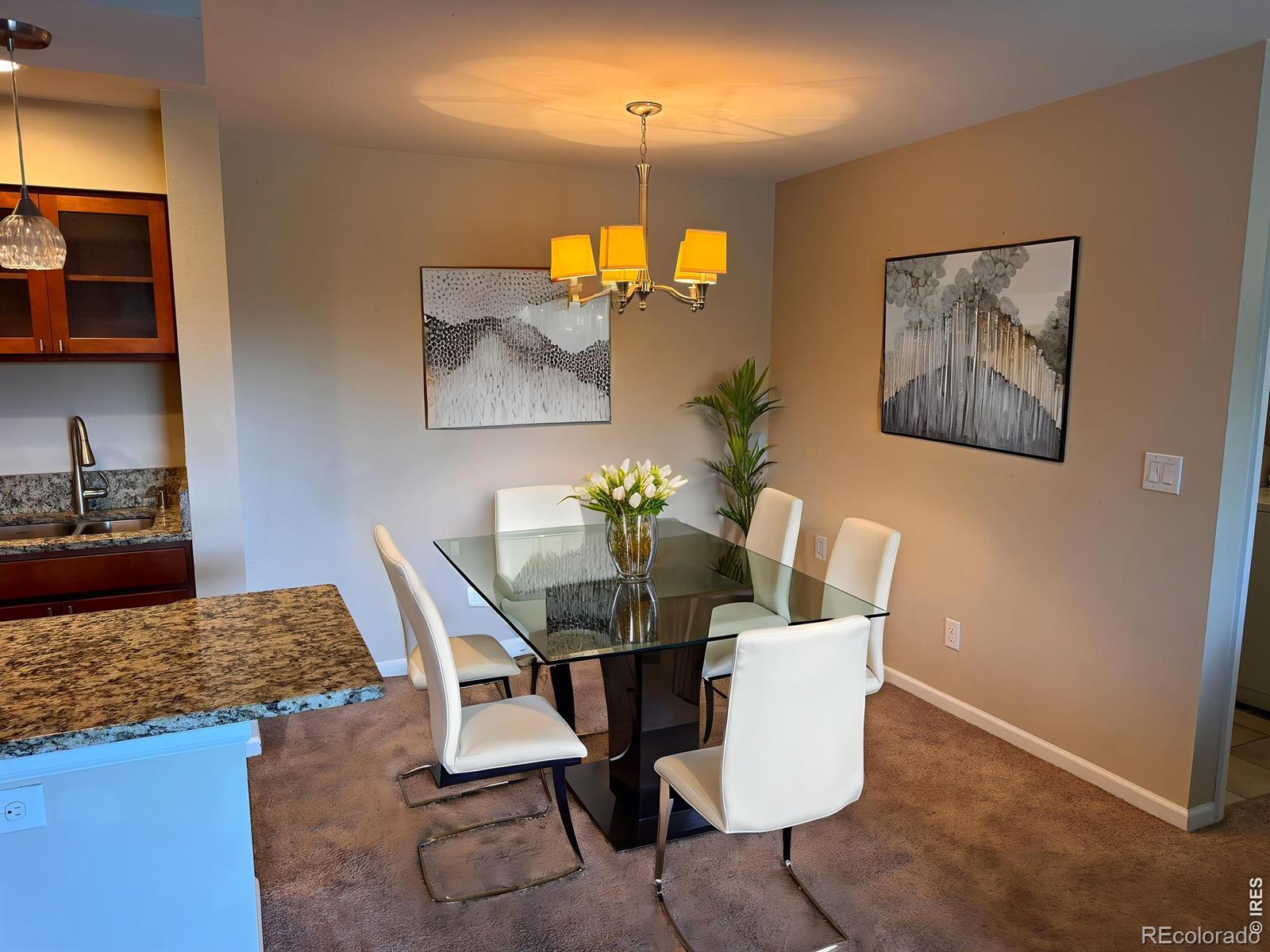 4658 White Rock Circle 5 — photo