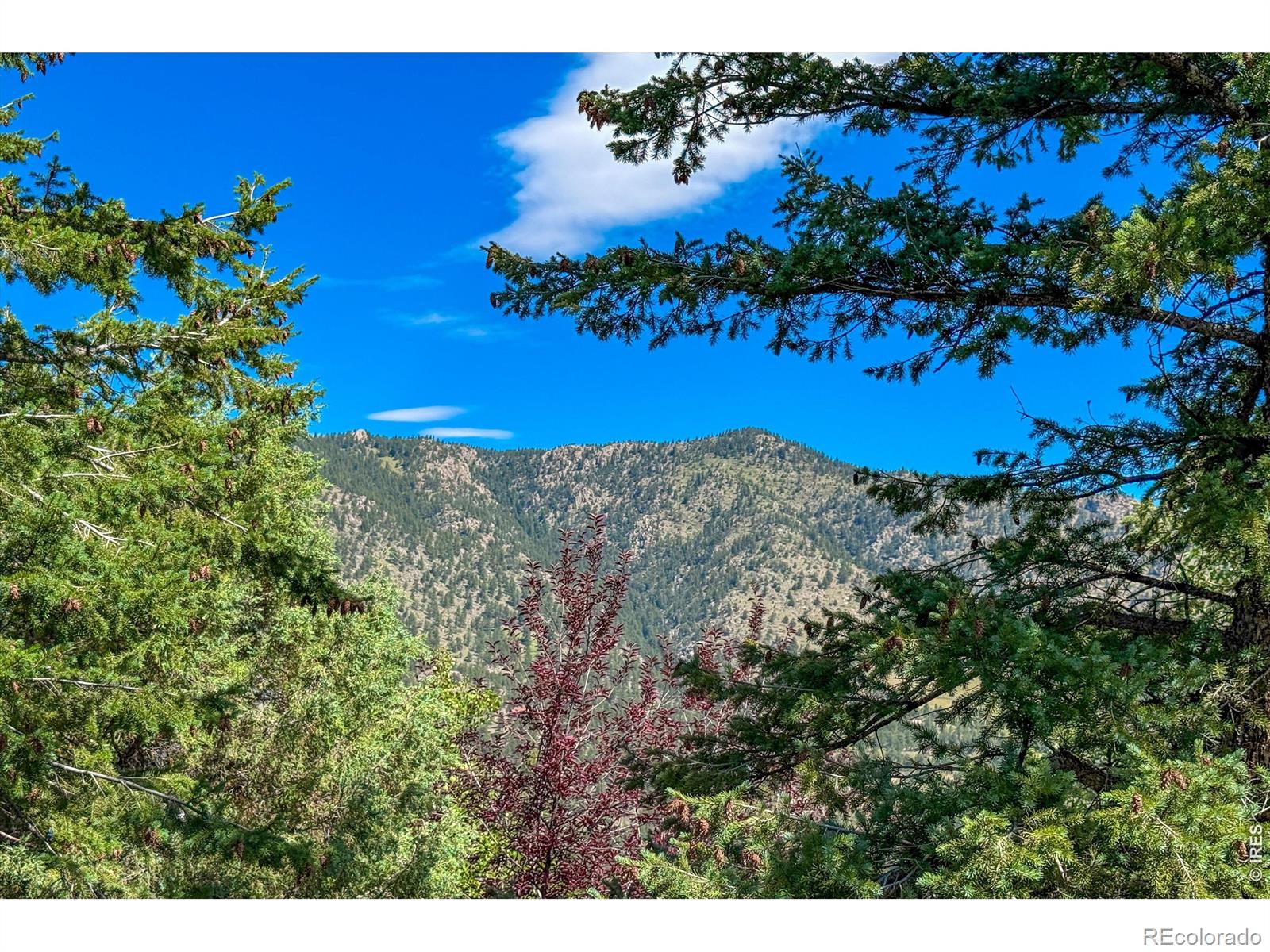 1108 Eagle Drive, Lyons, CO 80540 — photo 2