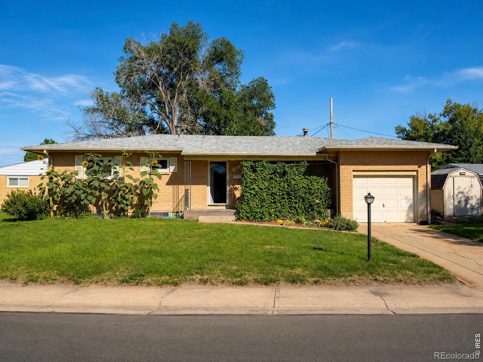1143 Beattie Drive — photo