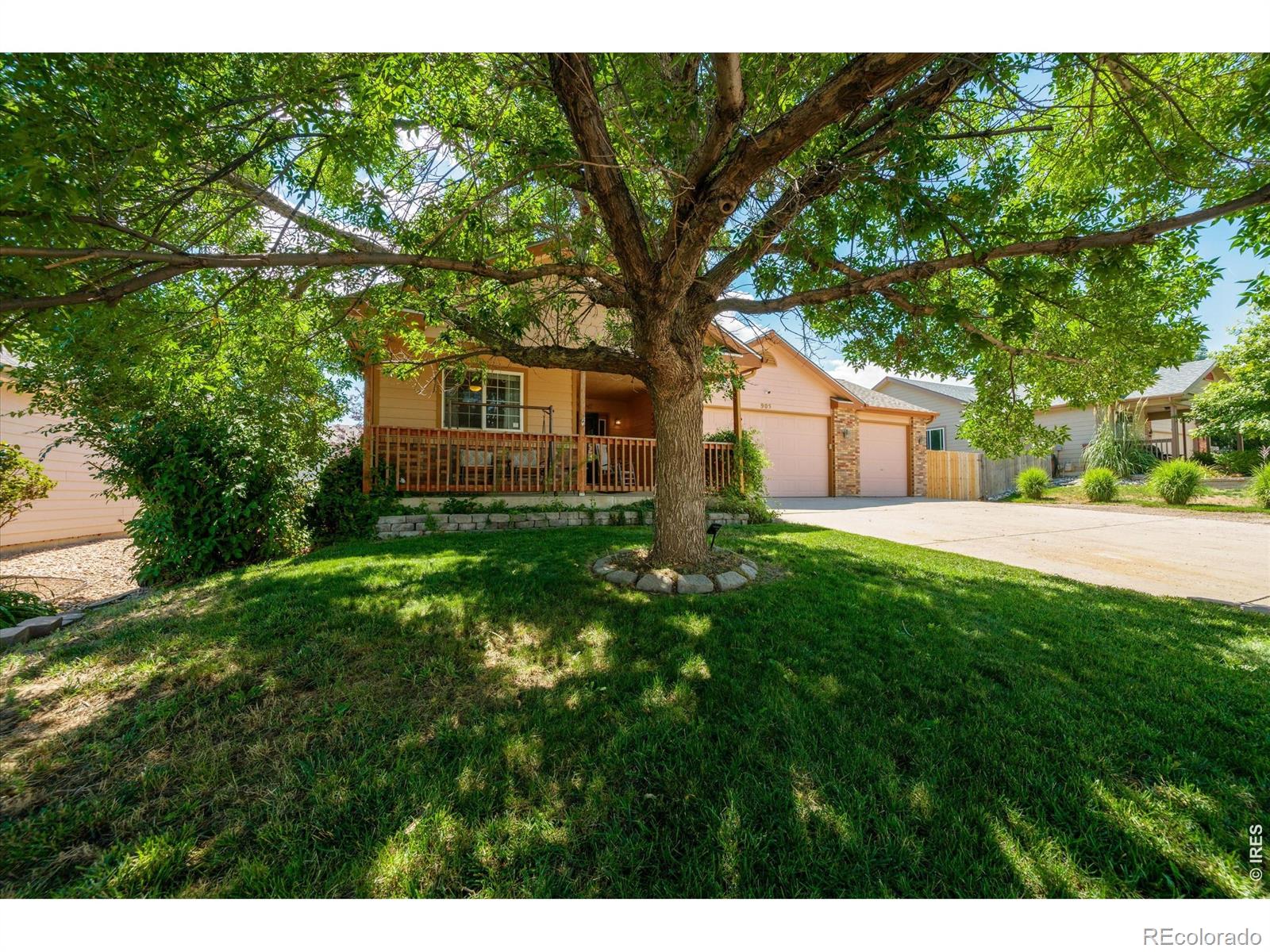 905 Scotch Pine Drive — photo