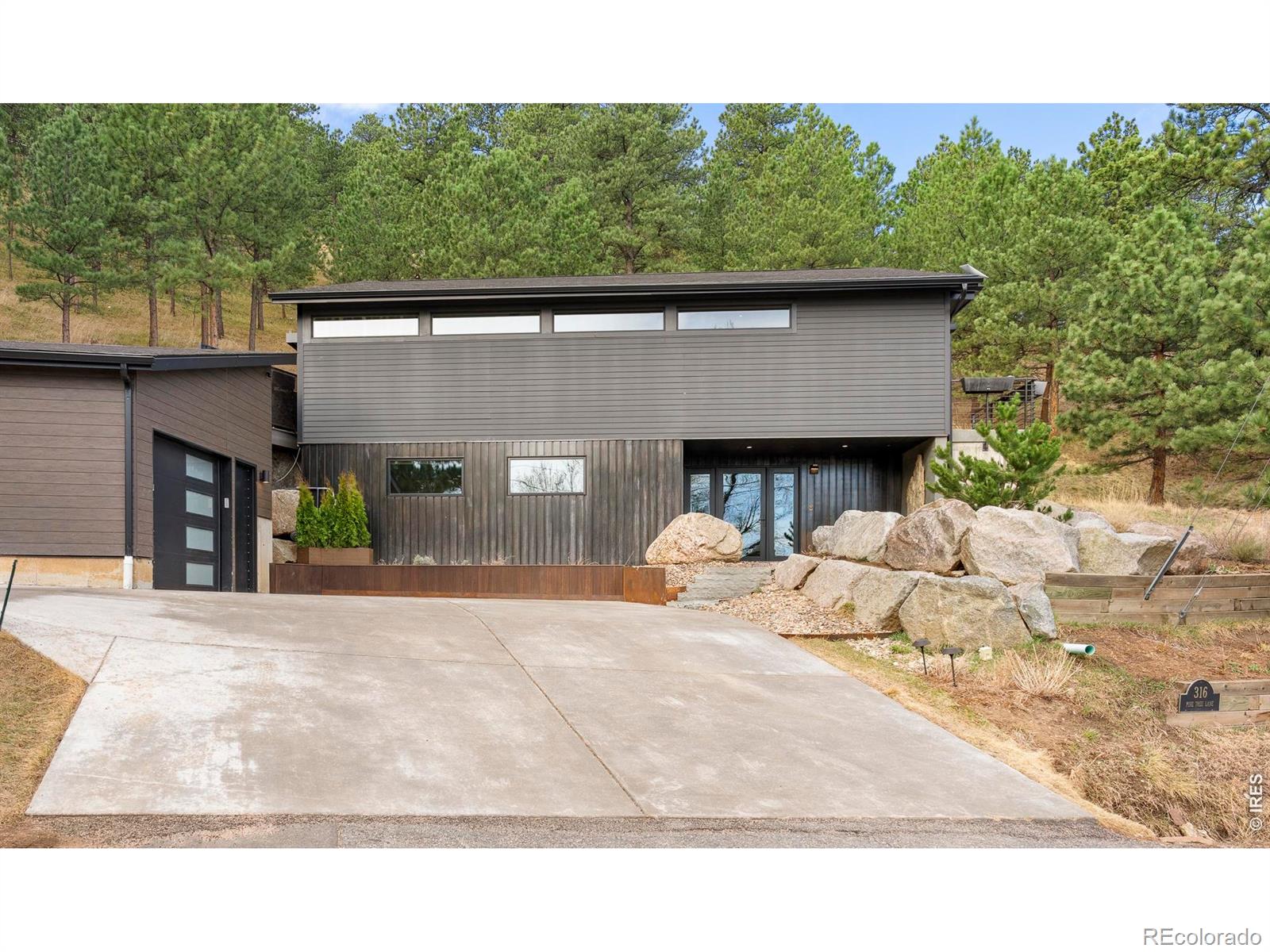 316 Pine Tree Lane — photo