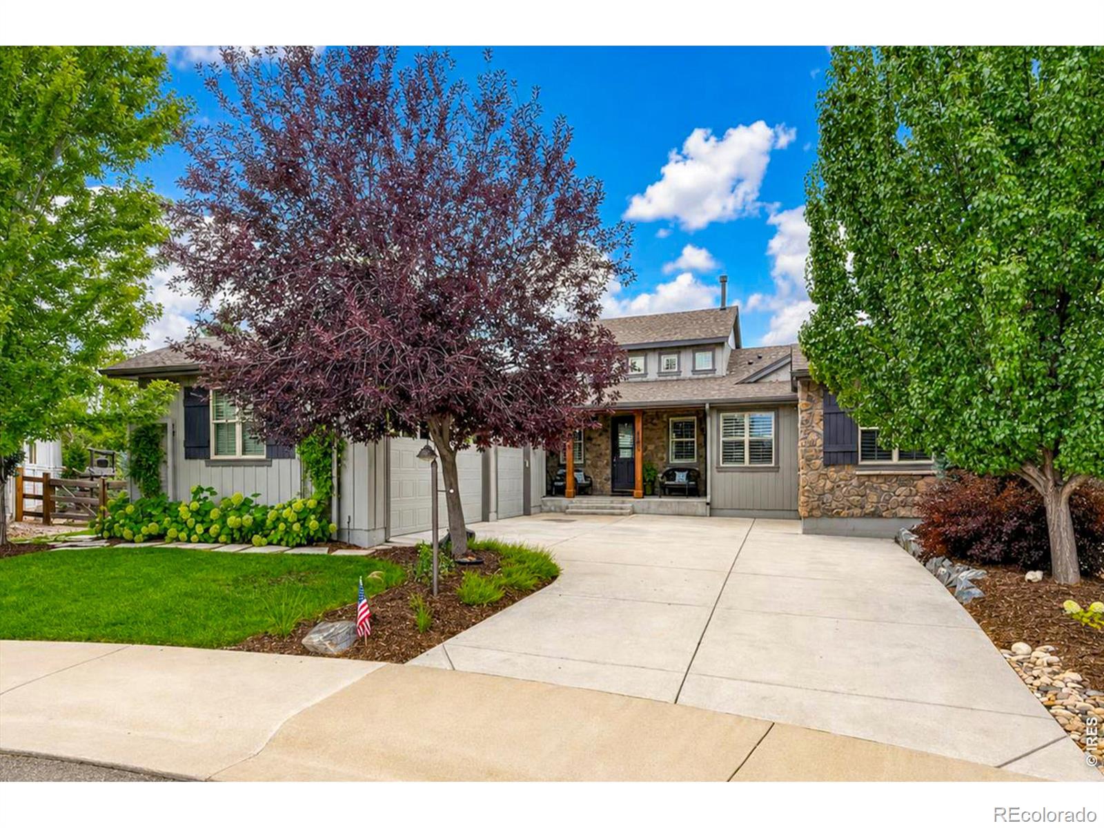 4462 Chaplin Creek Court — photo