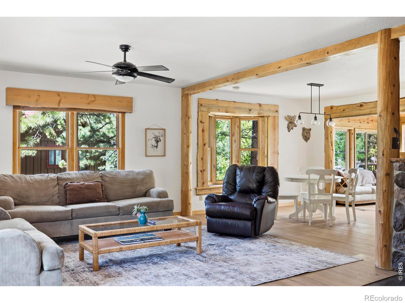 428 Rustic Road, Bellvue, CO 80512 — photo 3
