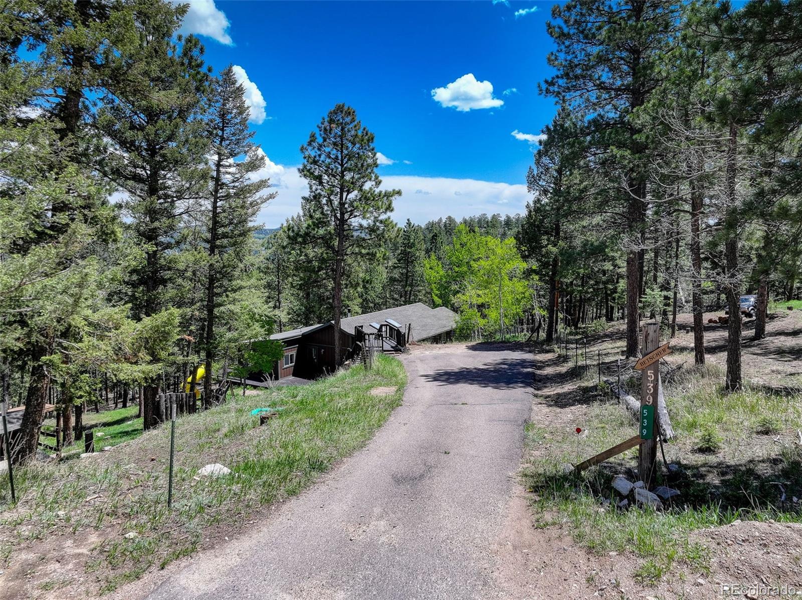 539 S Random Road, Bailey, CO 80421 — photo 3