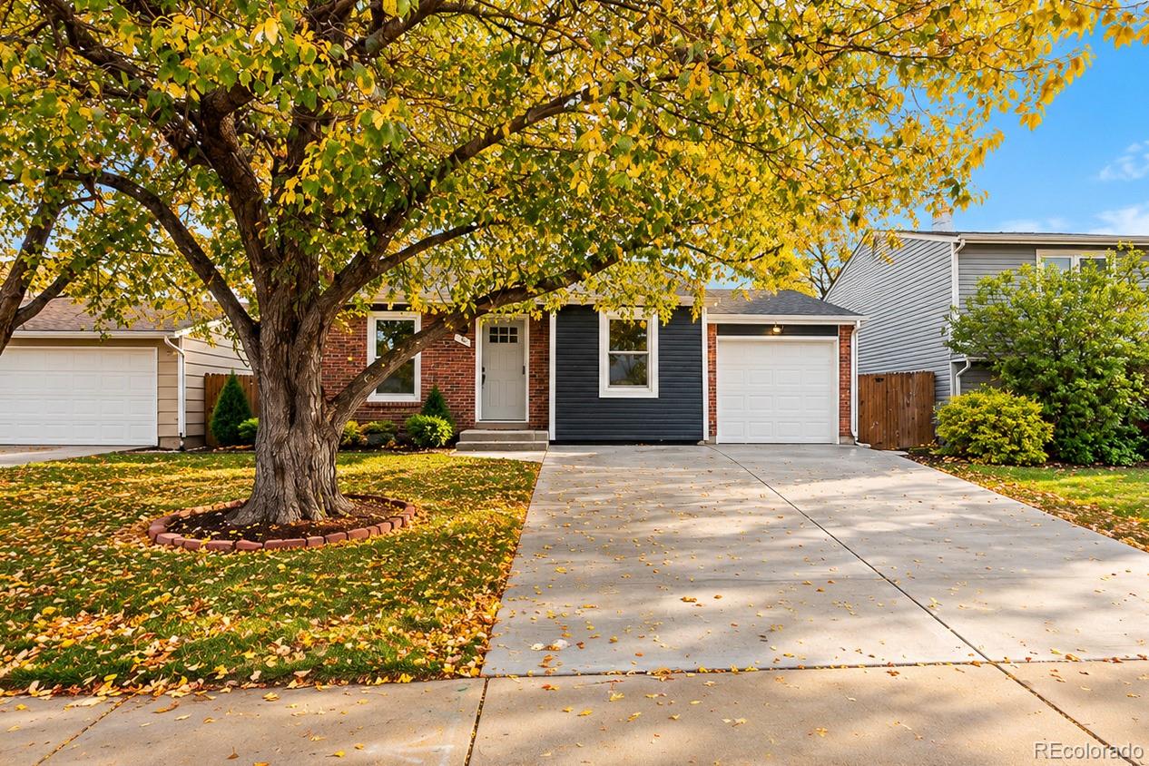 764 Madison Way — photo