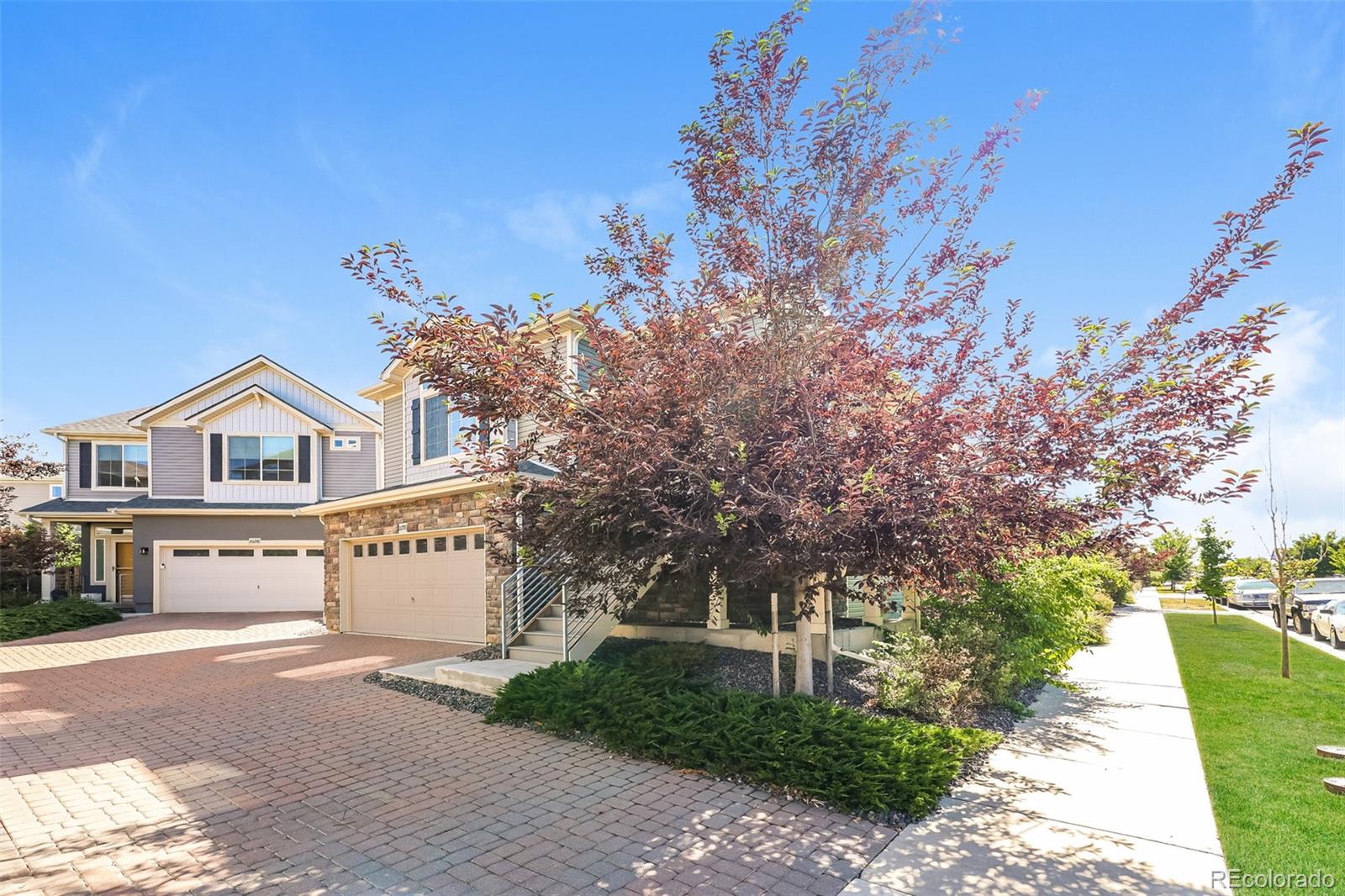 26198 E Maple Drive, Aurora, CO 80018 — photo 3