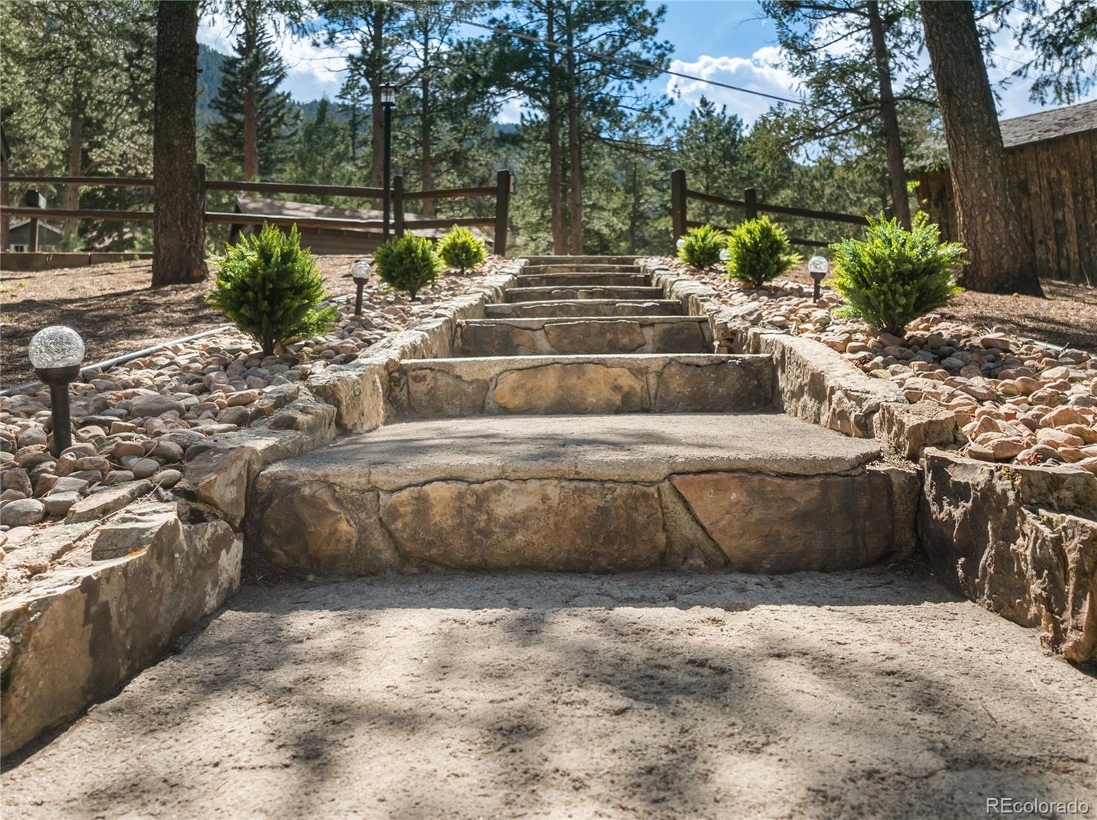 9120 Ute Road, Cascade, CO 80809 — photo 3