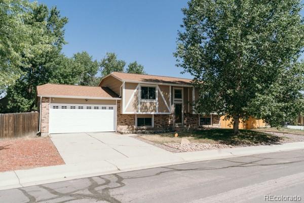 11765 Ash Drive — photo