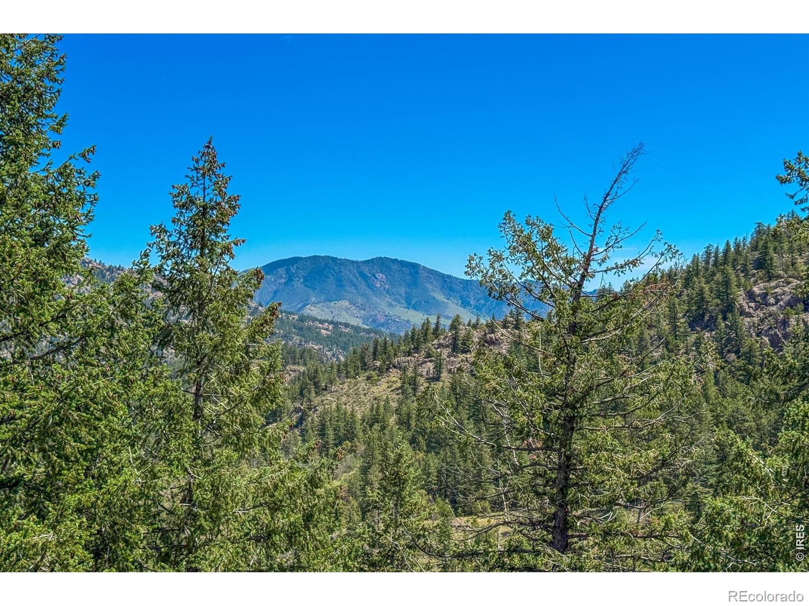 1108 Eagle Drive — photo