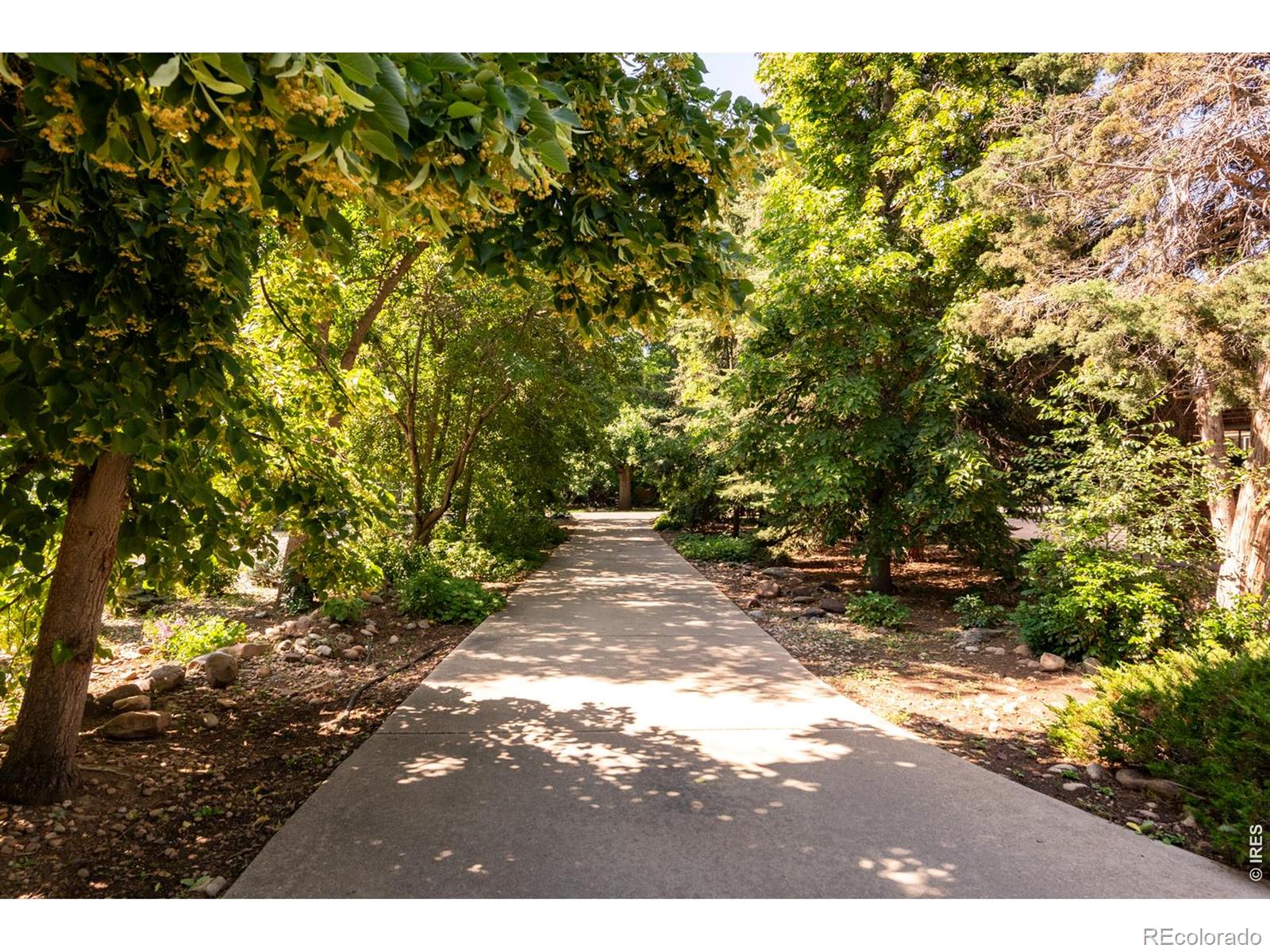 1127 Juniper Avenue, Boulder, CO 80304 — photo 3