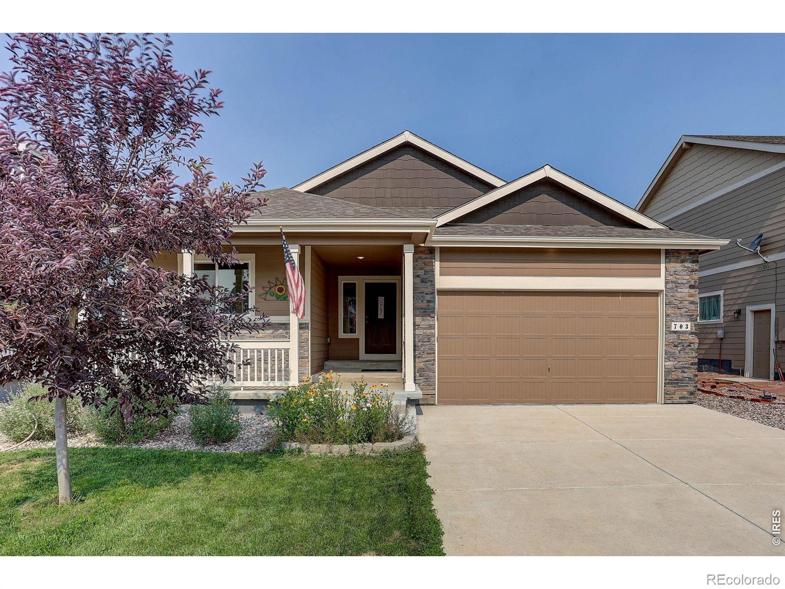 703 Cavern Street, Severance, CO 80550 — photo 2
