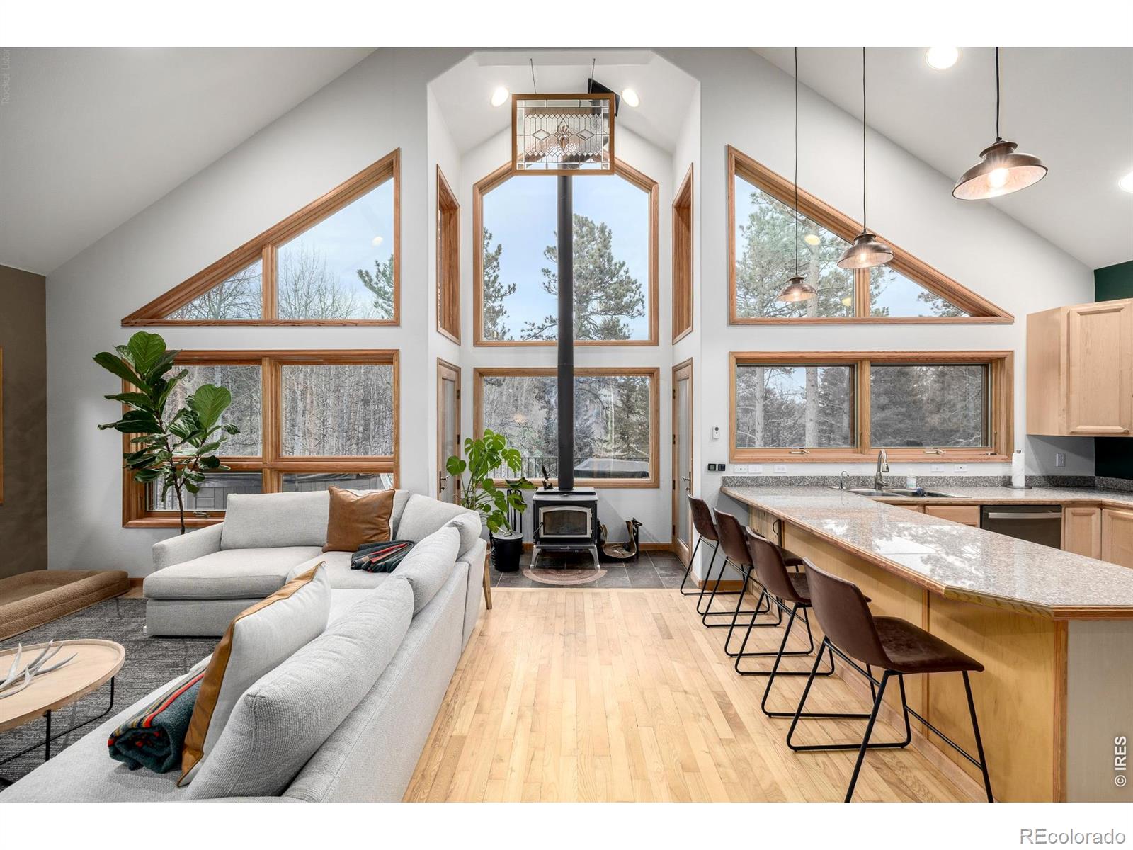 317 Ridge Road, Ward, CO 80481 — photo 2