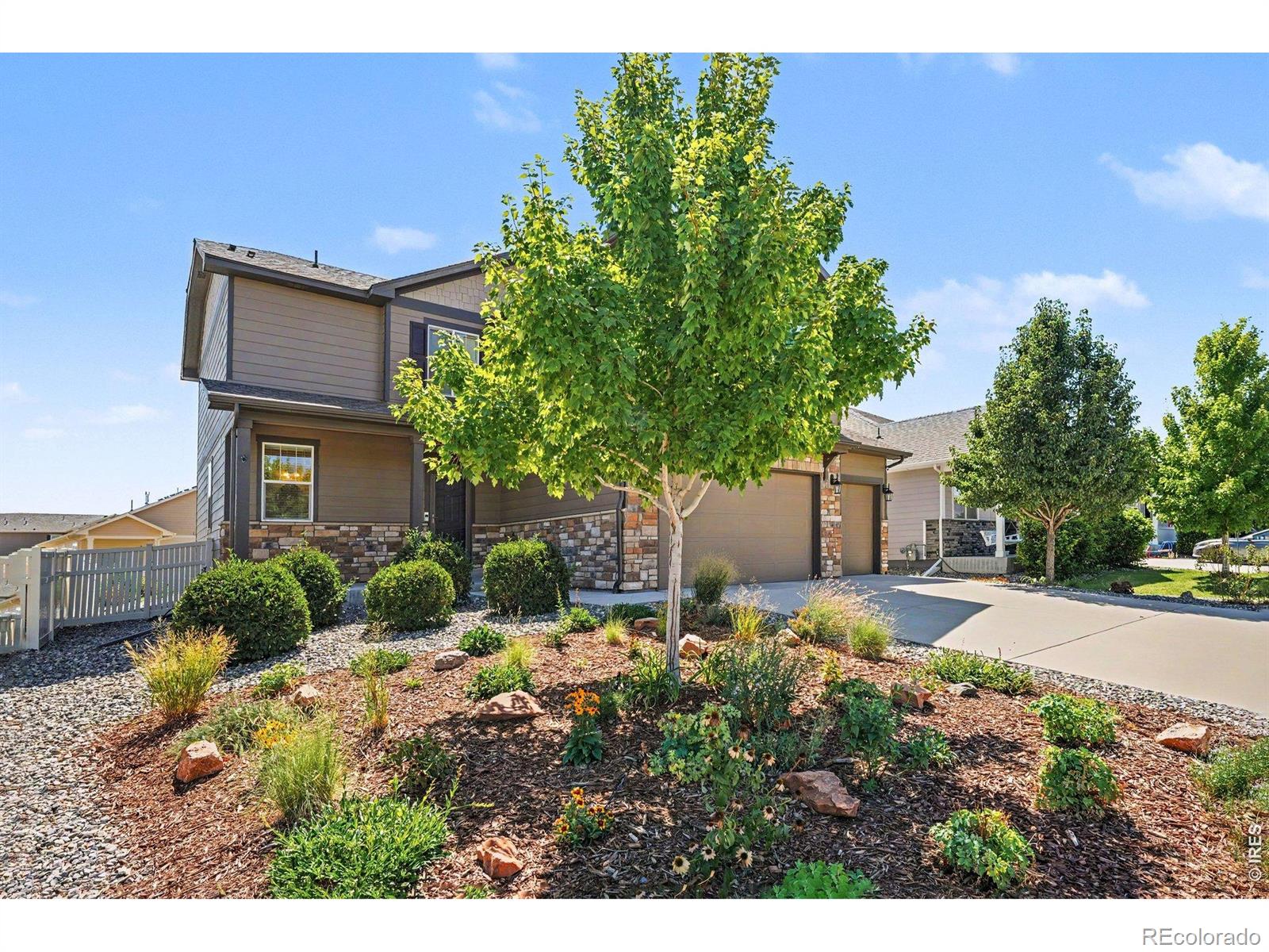 5370 Silverleaf Avenue, Firestone, CO 80504 — photo 3