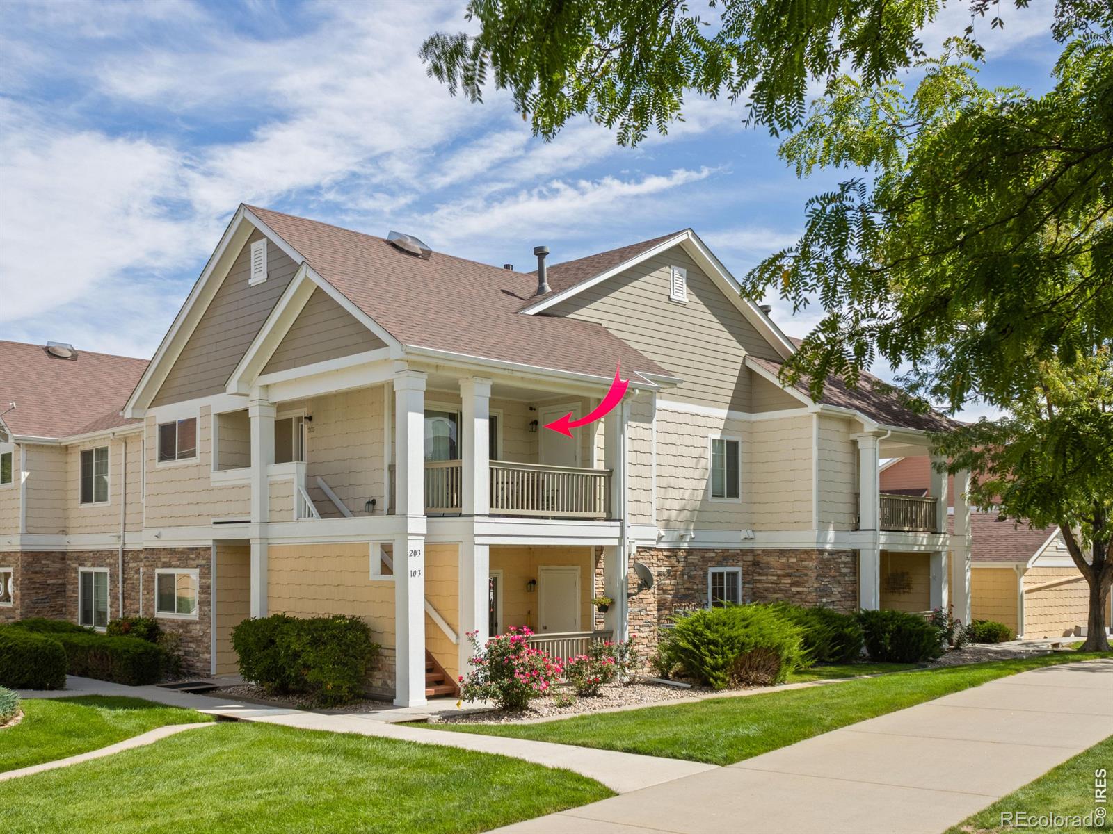 4615 Hahns Peak Drive Unit 203 — photo