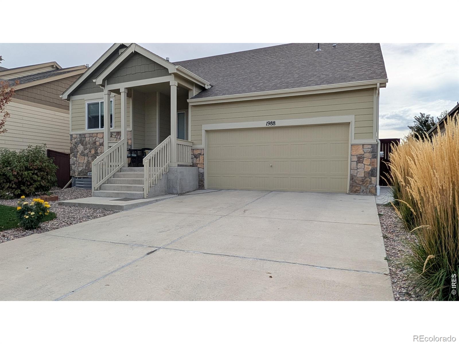 1988 Thundercloud Drive, Windsor, CO 80550 — photo 2