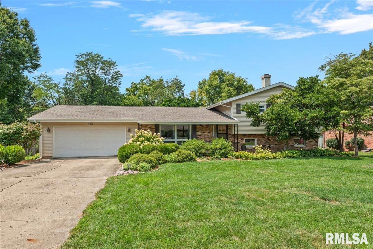 125 Wildrose Lane, Rochester, IL 62563