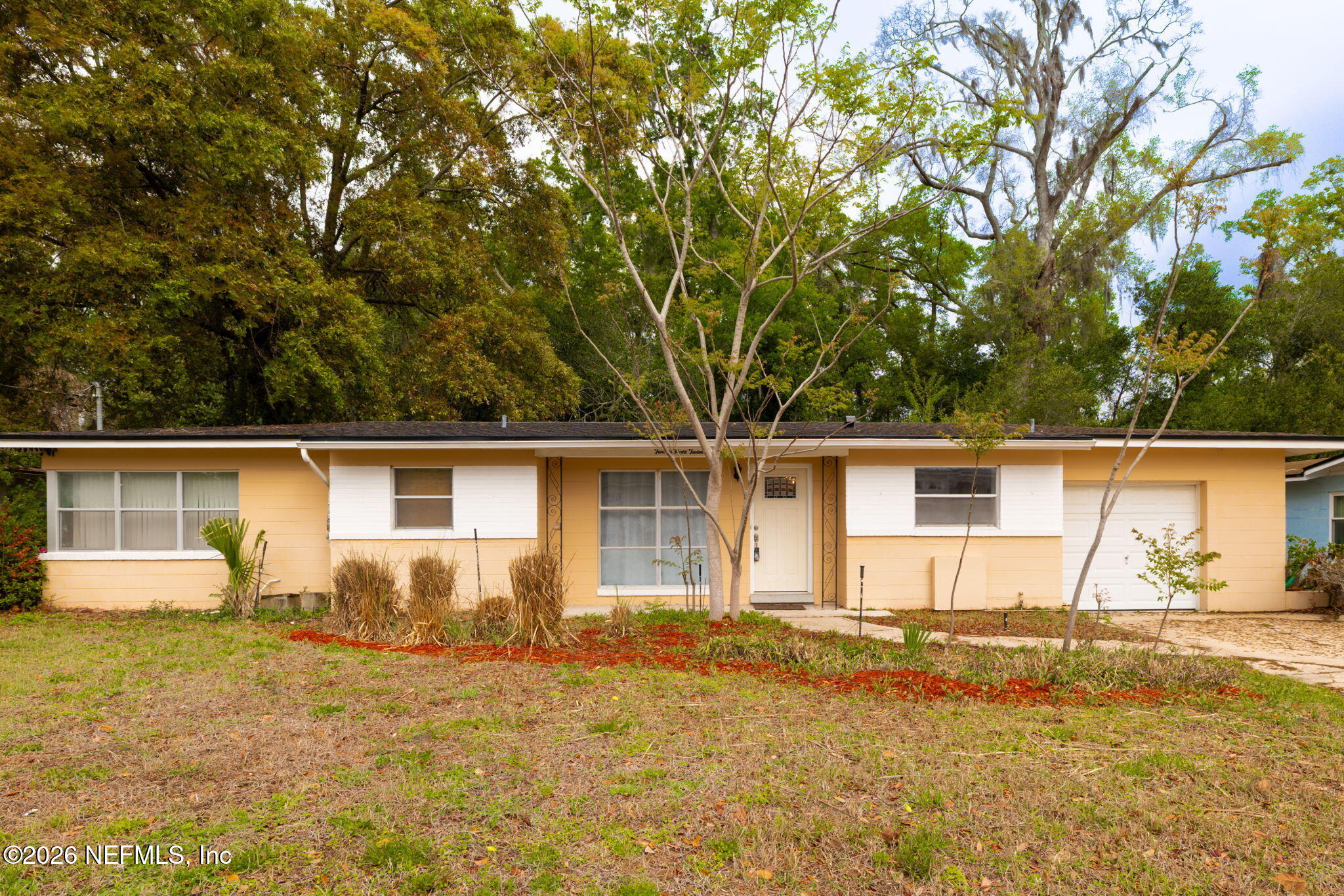 2324 Buttonwood Drive — photo