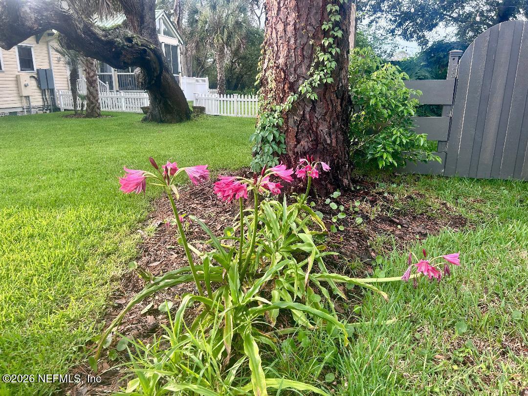 32 E Park Avenue, St. Augustine, FL 32084 — photo 3