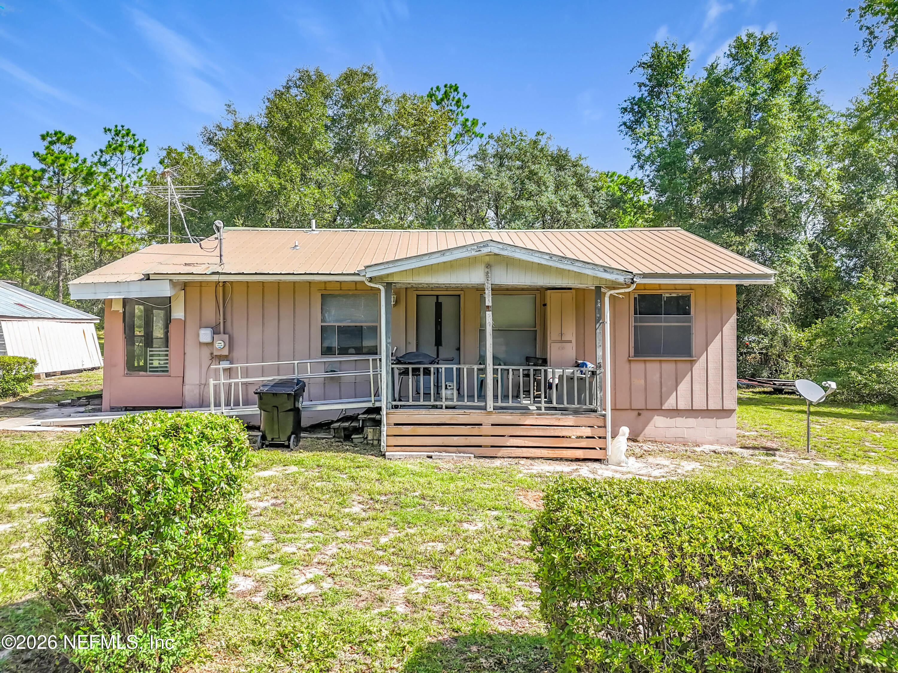 6680 Spanish Moss — photo