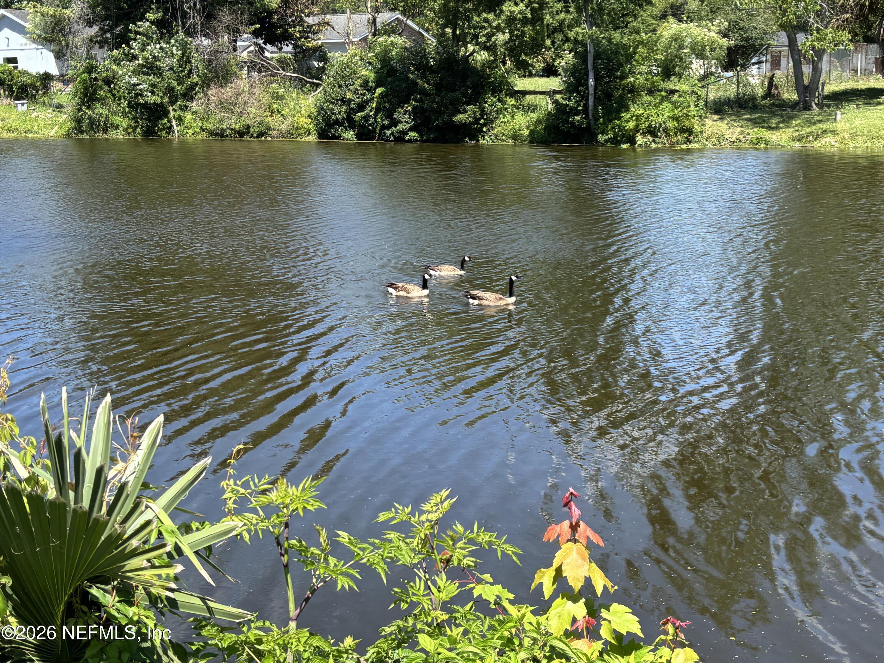 2071 Courtney Drive — photo