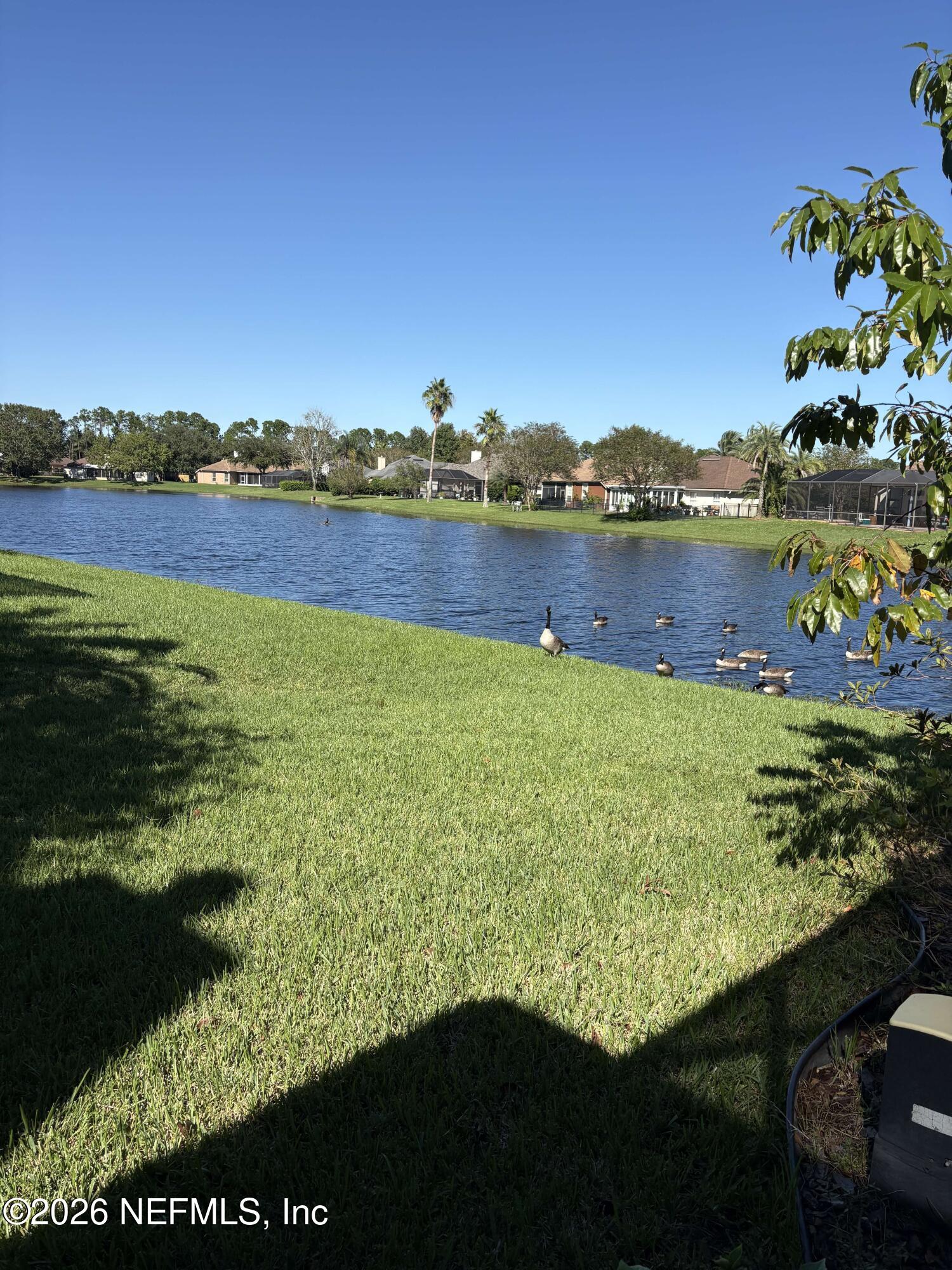 2253 Bristol Spring Court — photo