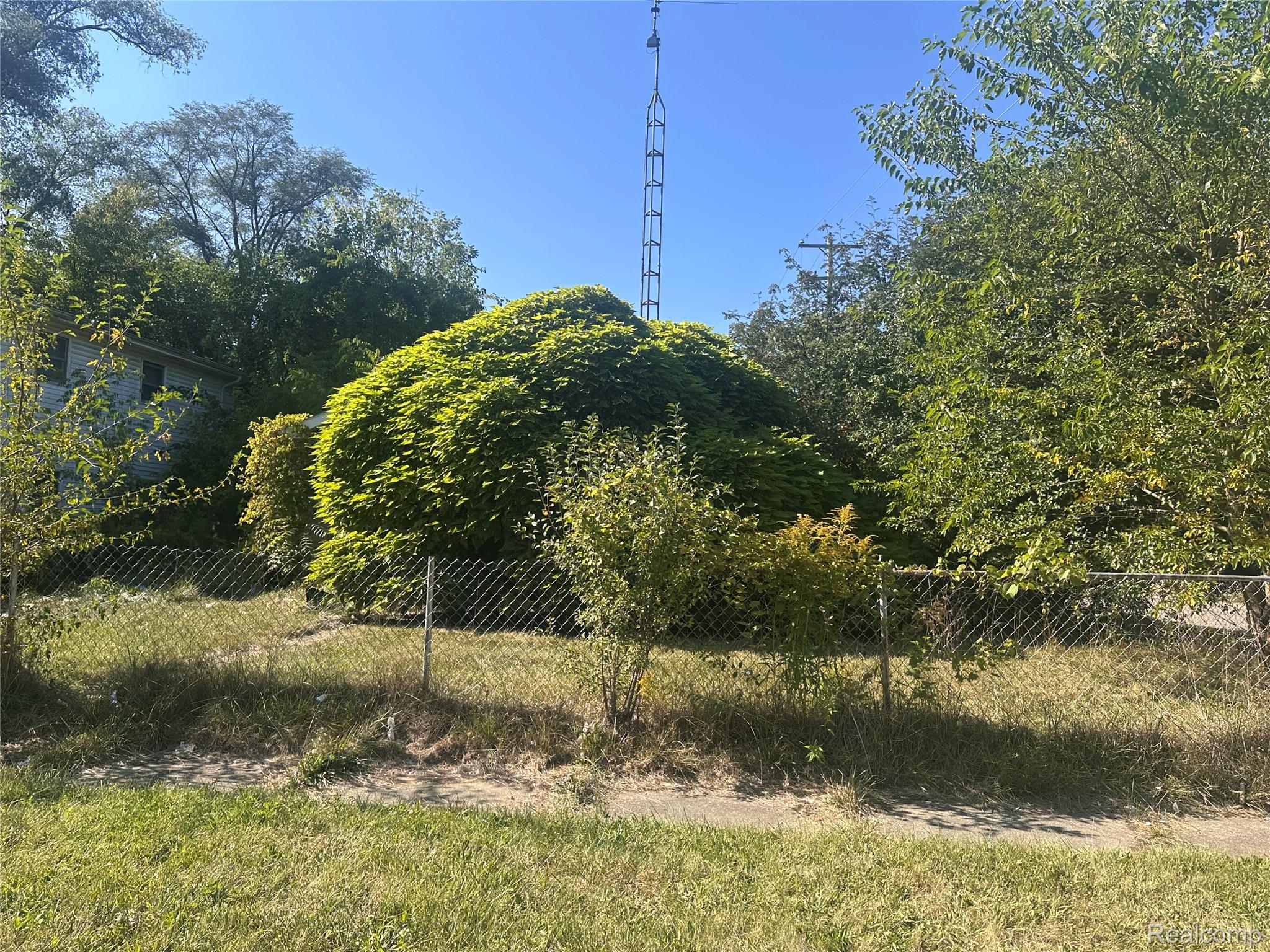 1133 Donaldson Street — photo