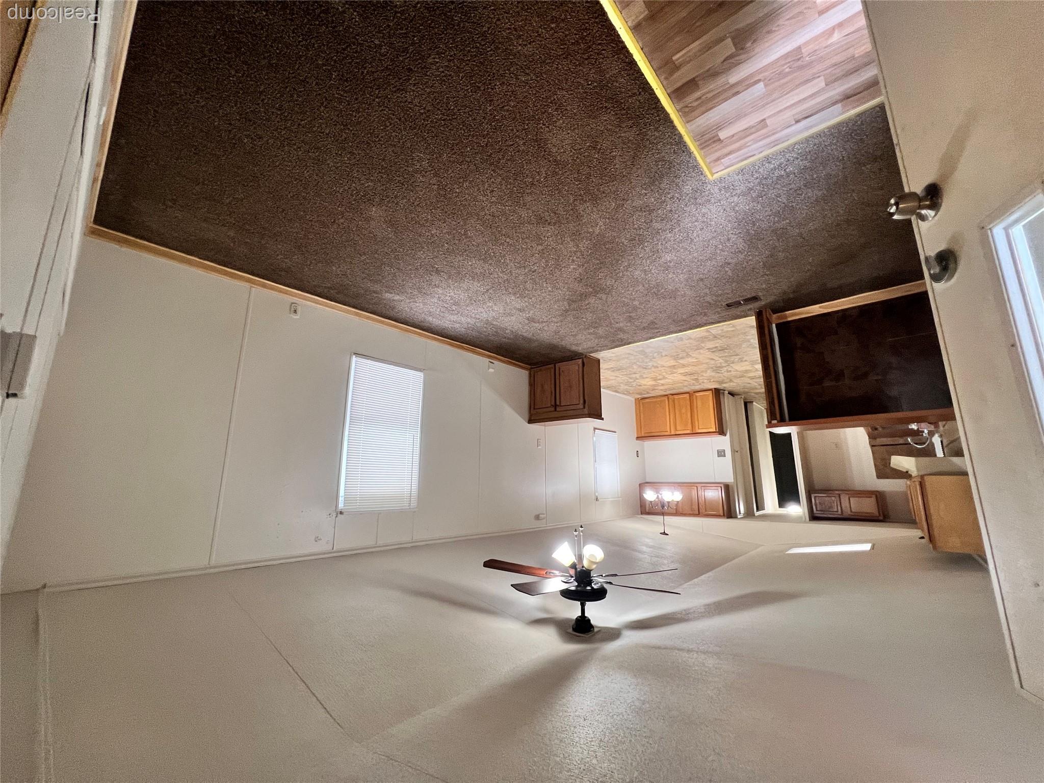 5017 Naomikong — photo