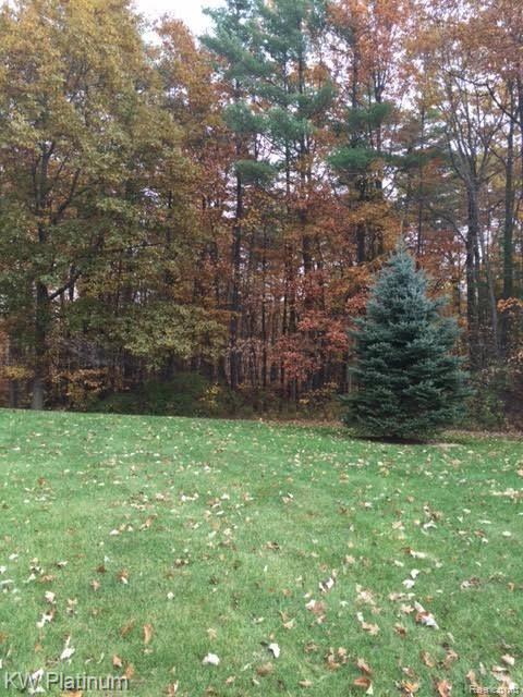3452 Wadhams Road, Clyde, MI 48049 — photo 3