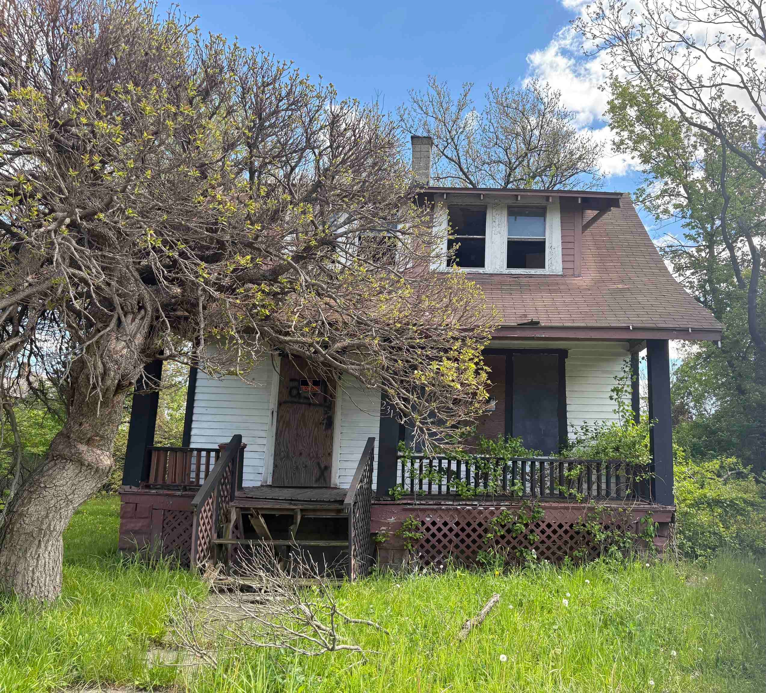 231 Grove Street — photo