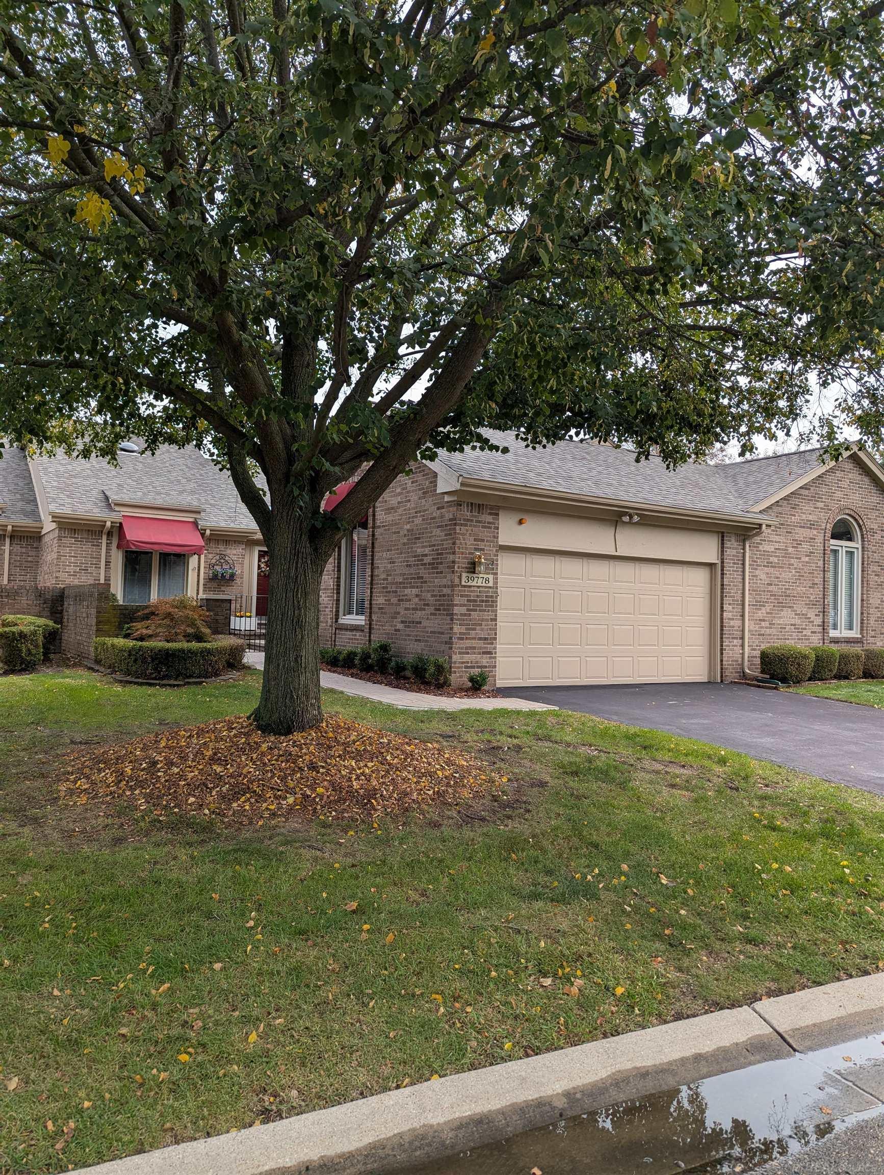 39778 Mount Elliott Dr — photo