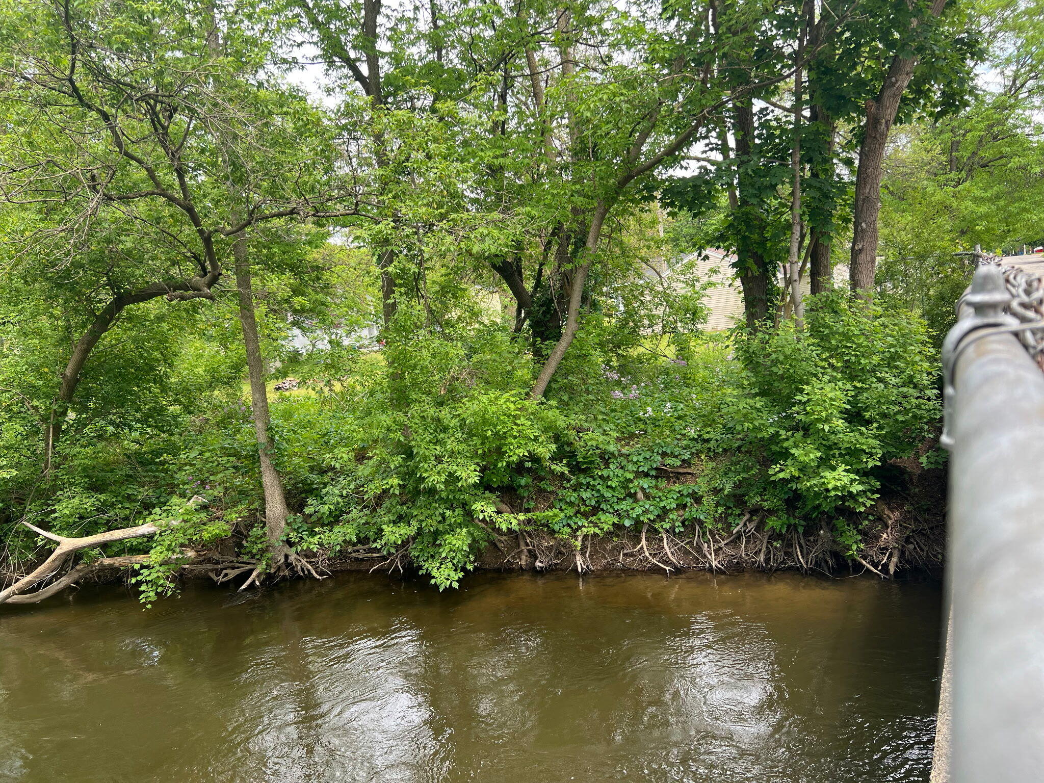 320 Morrell Street, Plainwell, MI 49080 — photo 3