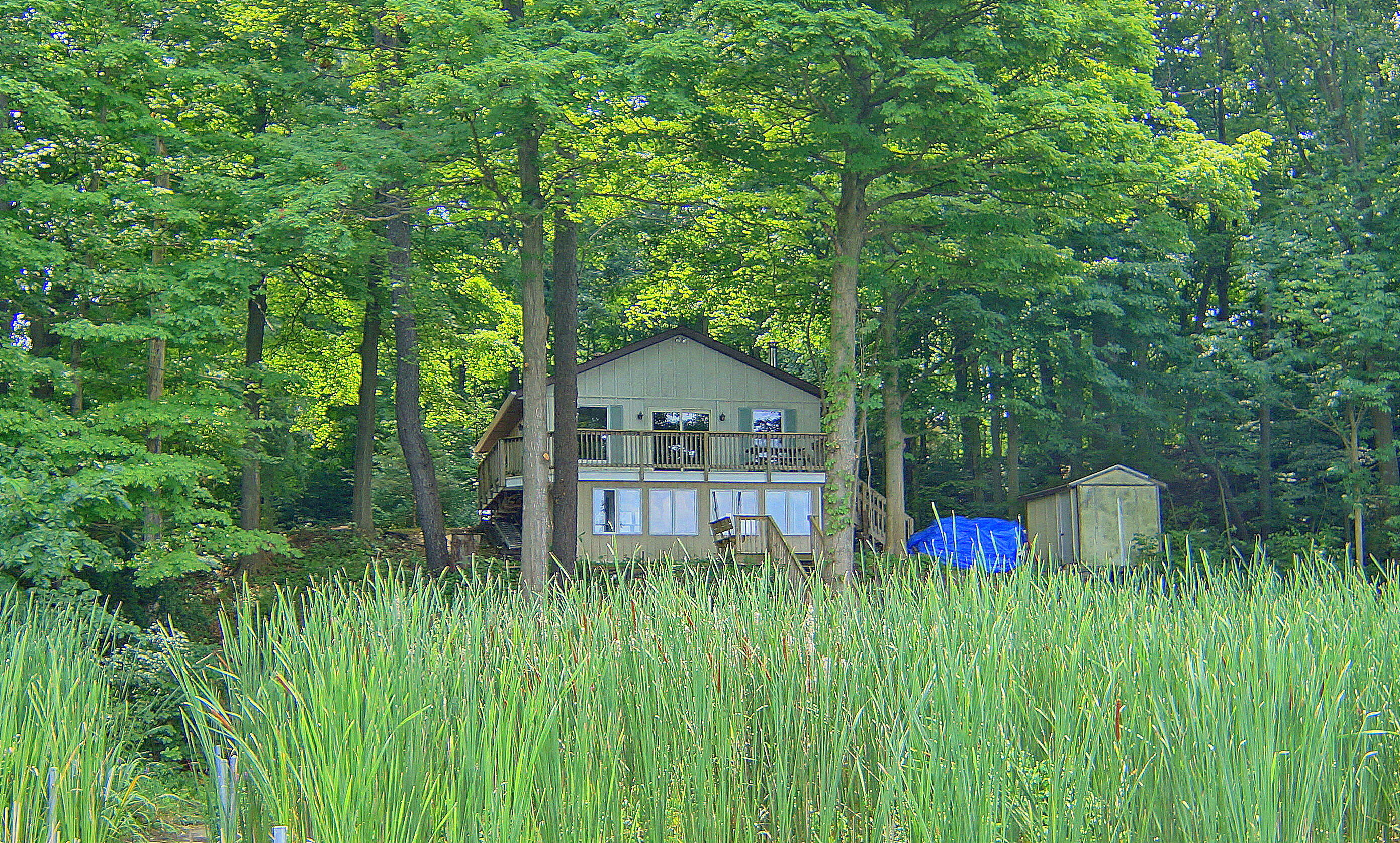 10749 Kings Lane — photo