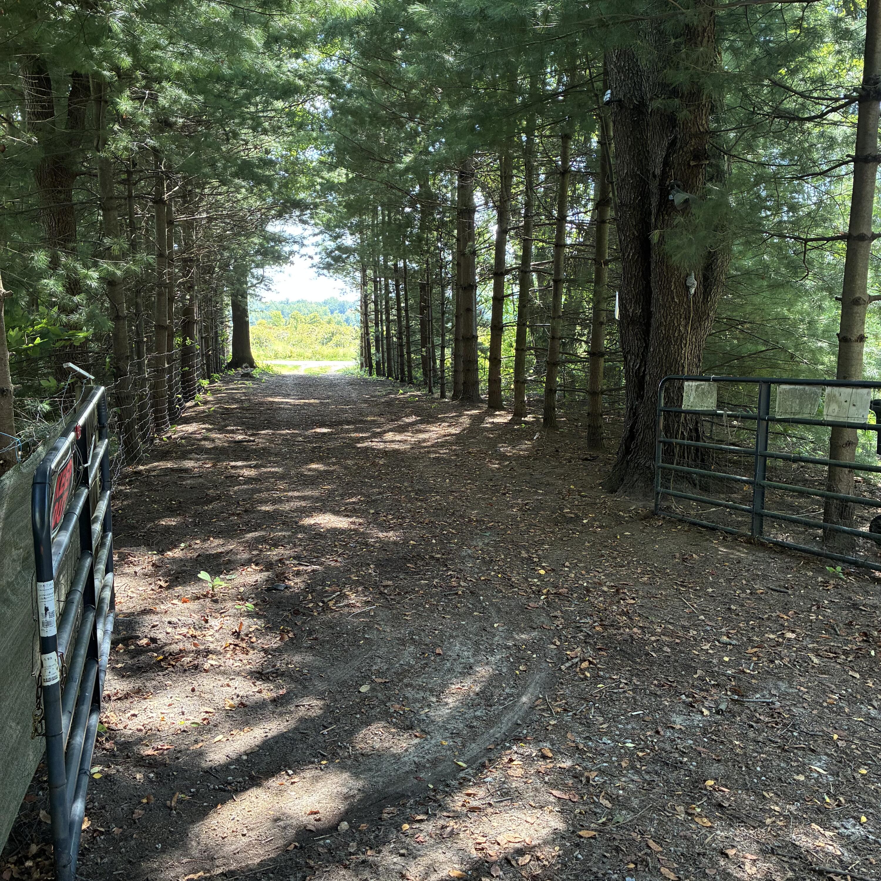 72670 Co Rd 376, Covert, MI 49043 — photo 3