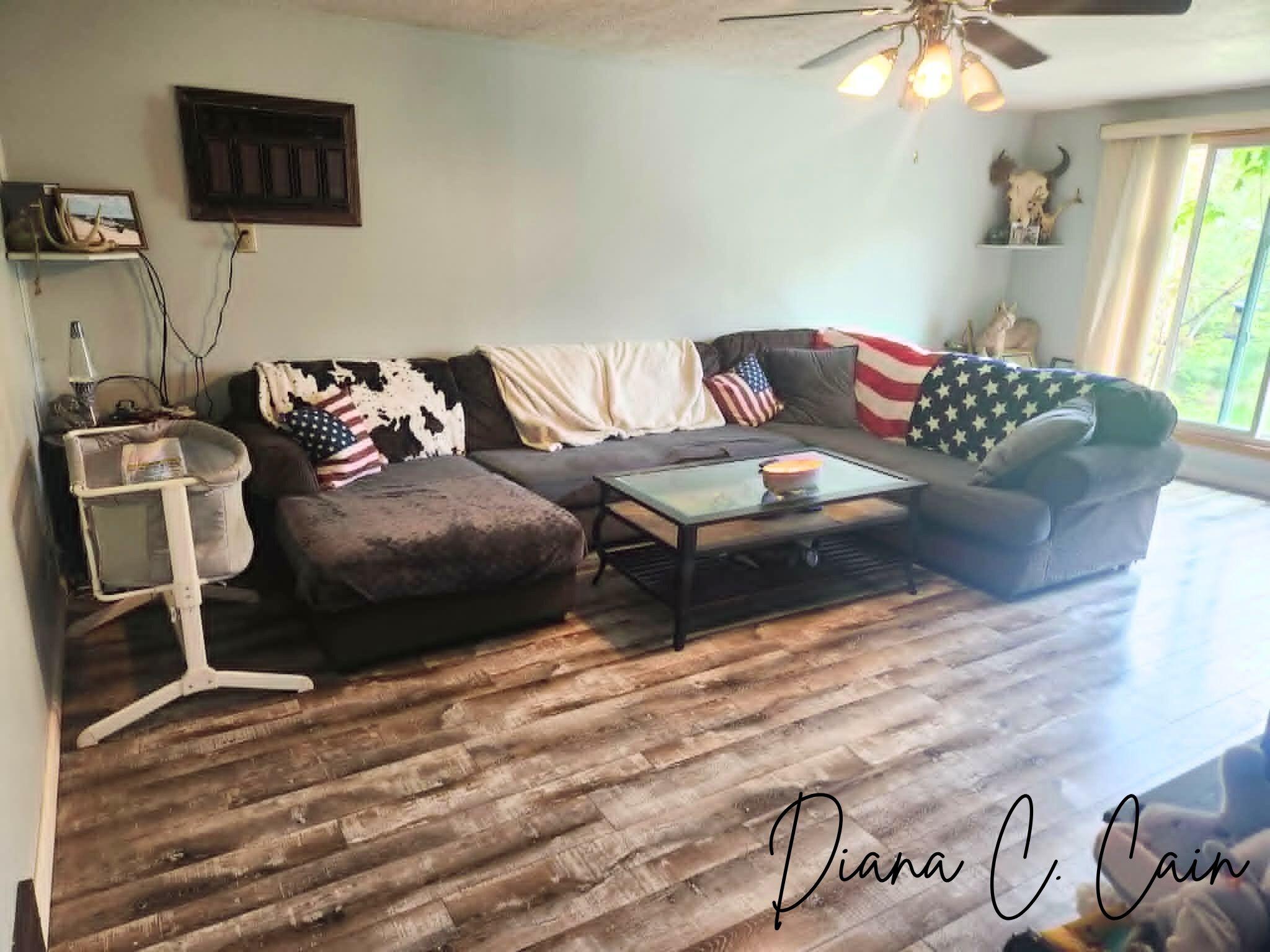 123 Riverside Drive, Hart, MI 49420 — photo 3