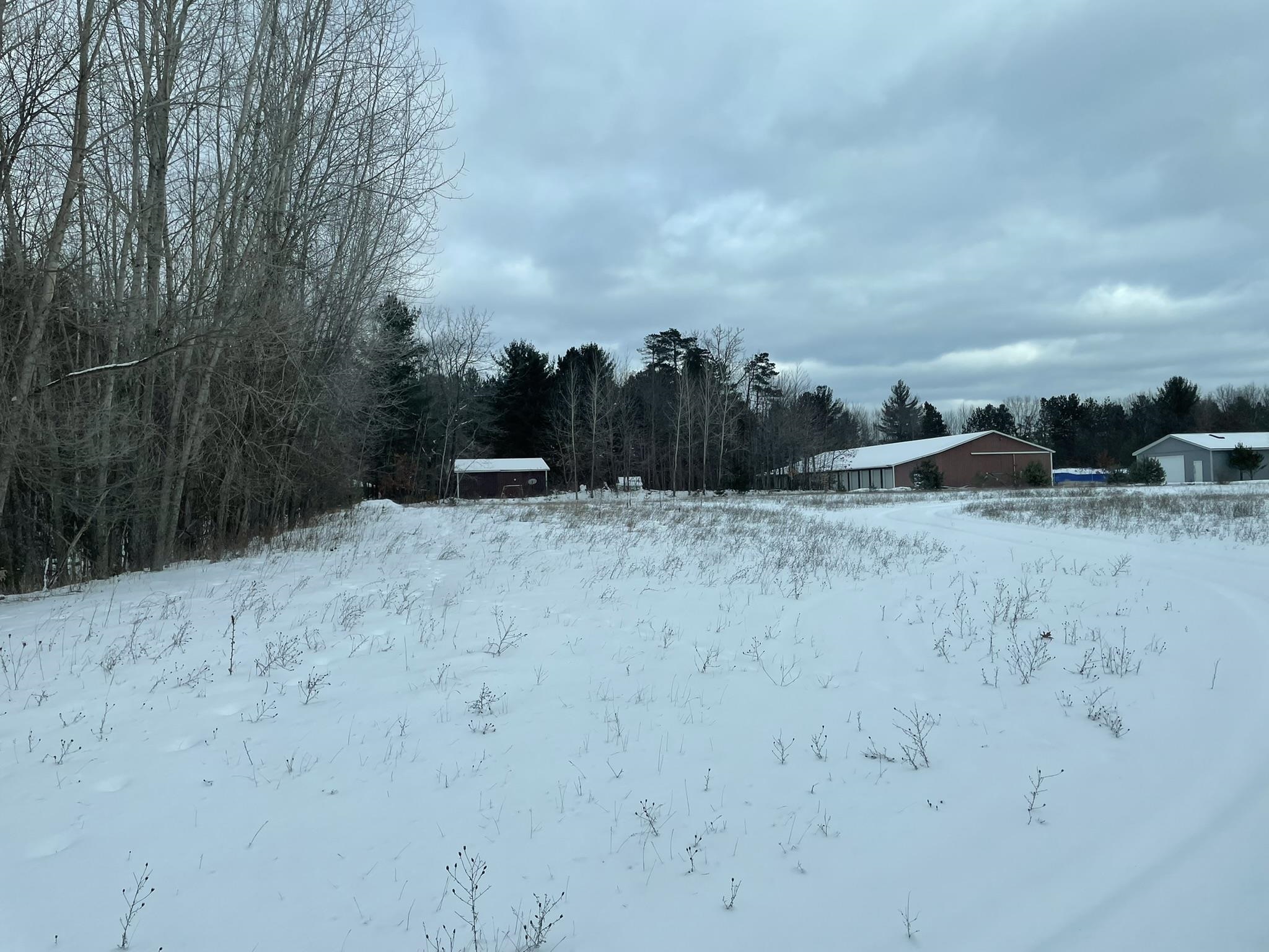 Tbd S Partridge — photo