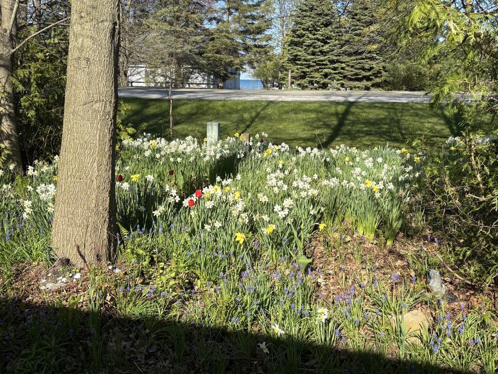 Home in Harbor Beach, MI 48441 — photo 3