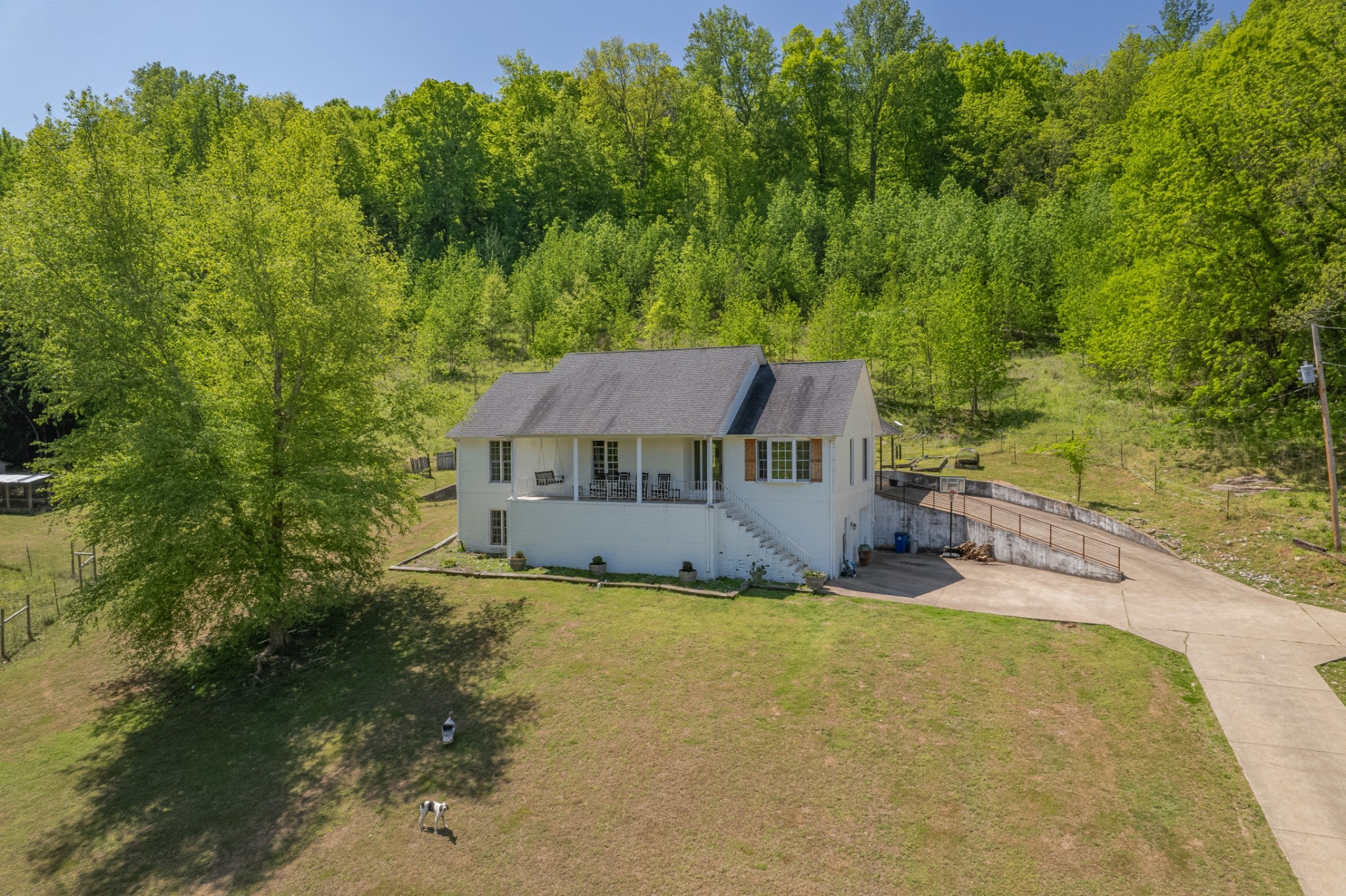 3310 Dog Branch Rd — photo