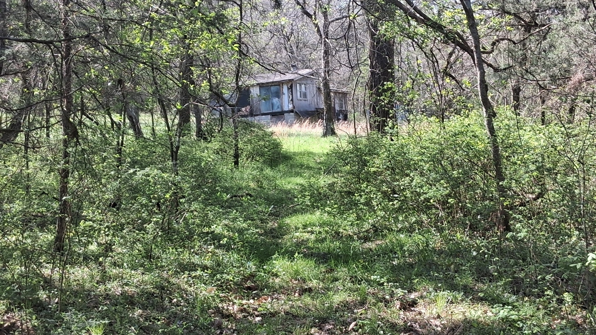 2431 Williams Rd — photo