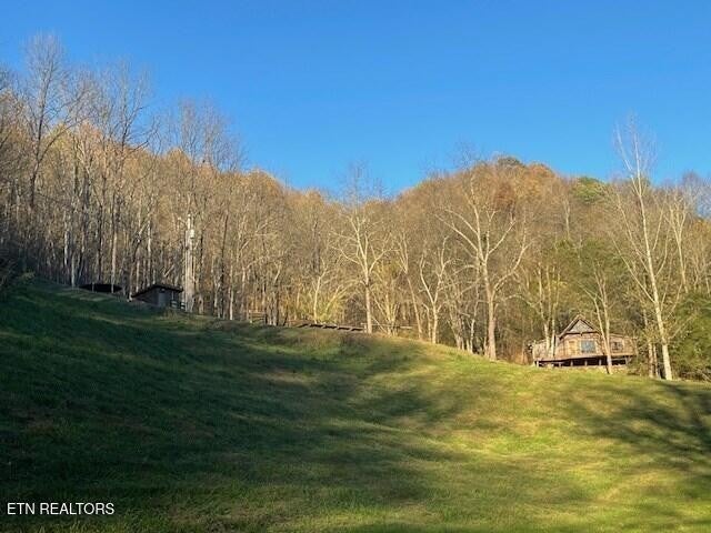 360 Spurlock Hollow Lane — photo