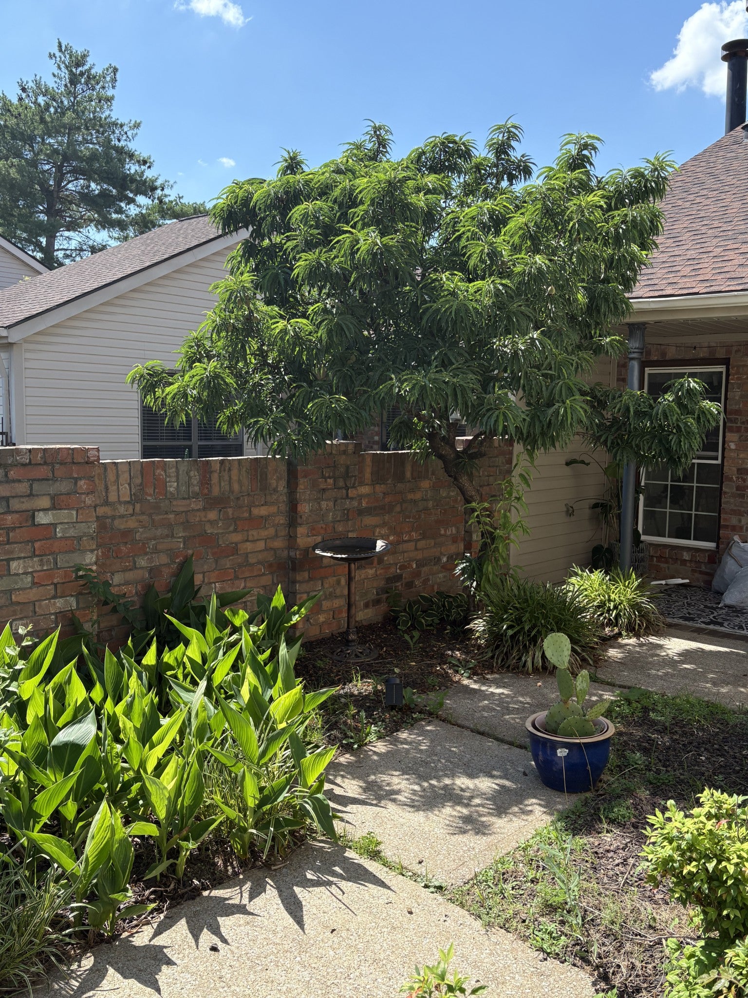 404 Laurel Hill Dr — photo