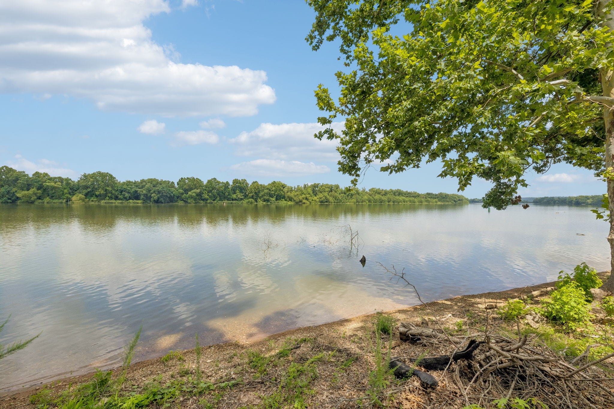 194 Lakeshore Cir — photo