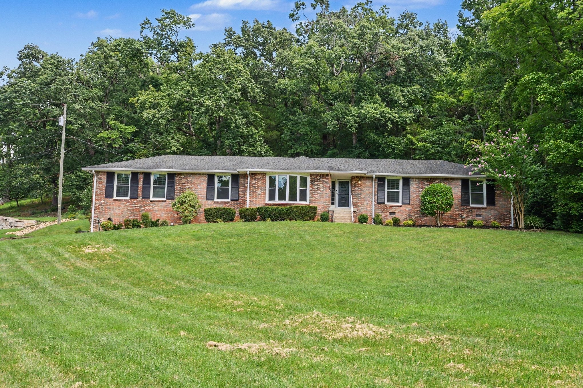 804 Rodney Dr — photo