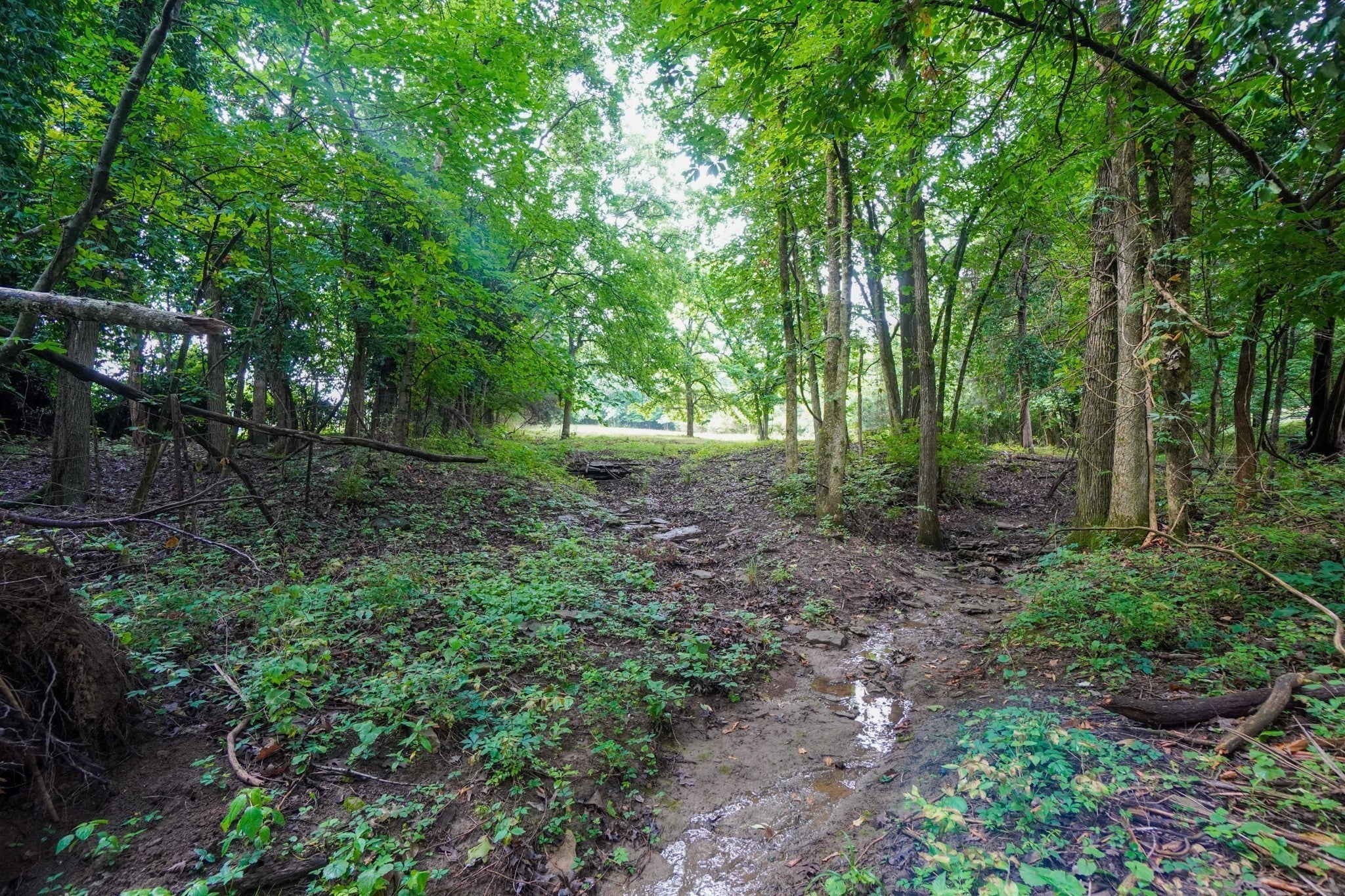 1094B Center Point Rd — photo