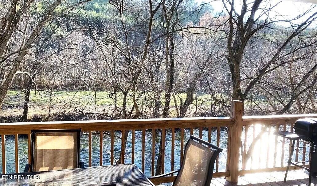 126 Rafter Rd, Tellico Plains, TN 37385 — photo 3