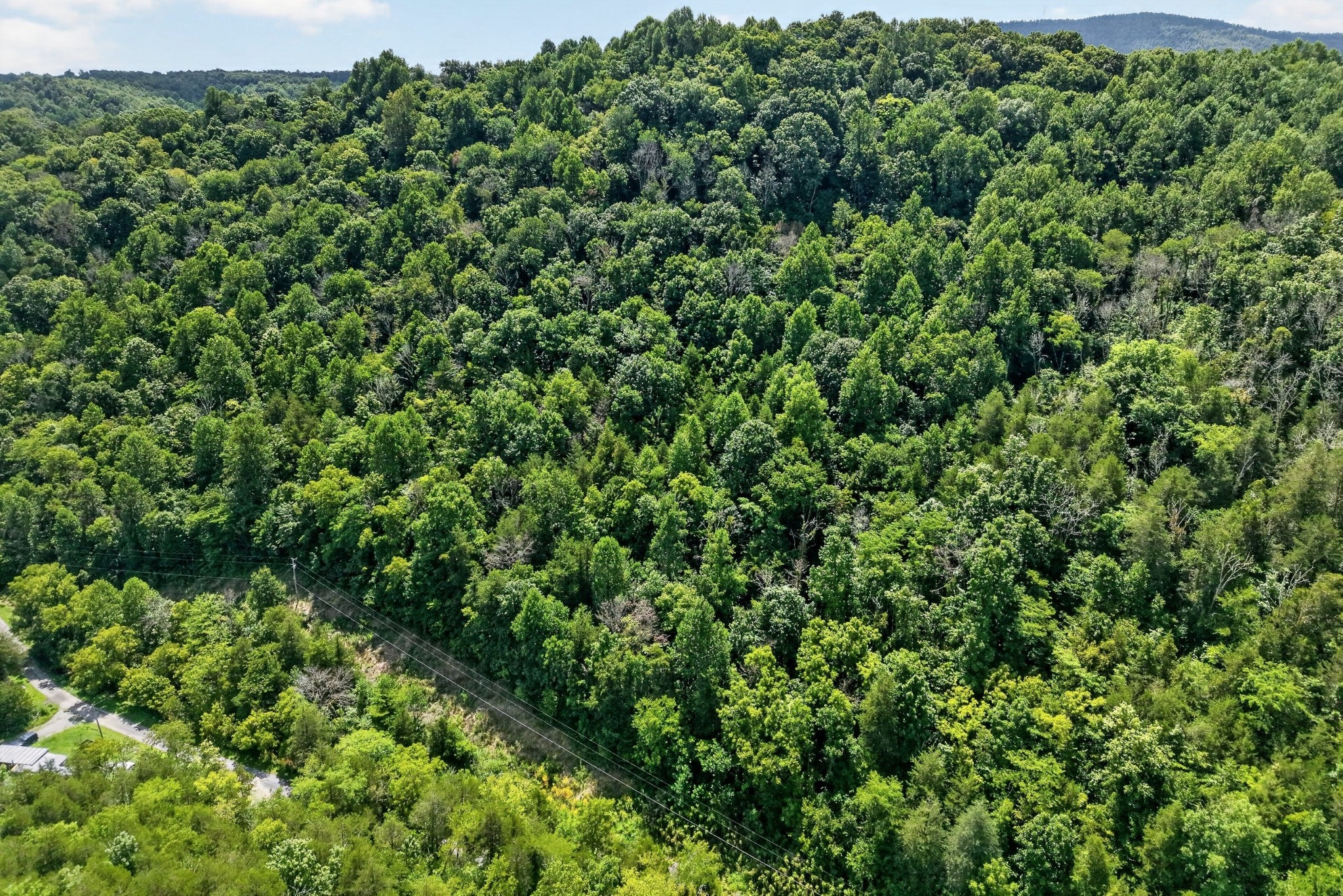 2949 Wilmouth Creek Rd — photo