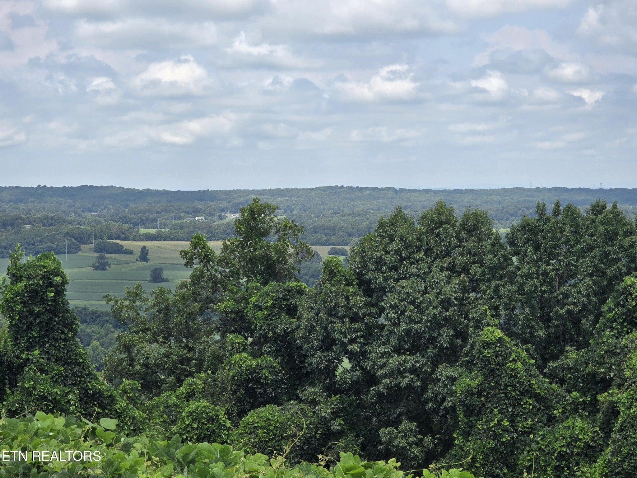 Home in Sweetwater, TN 37874 — photo 3