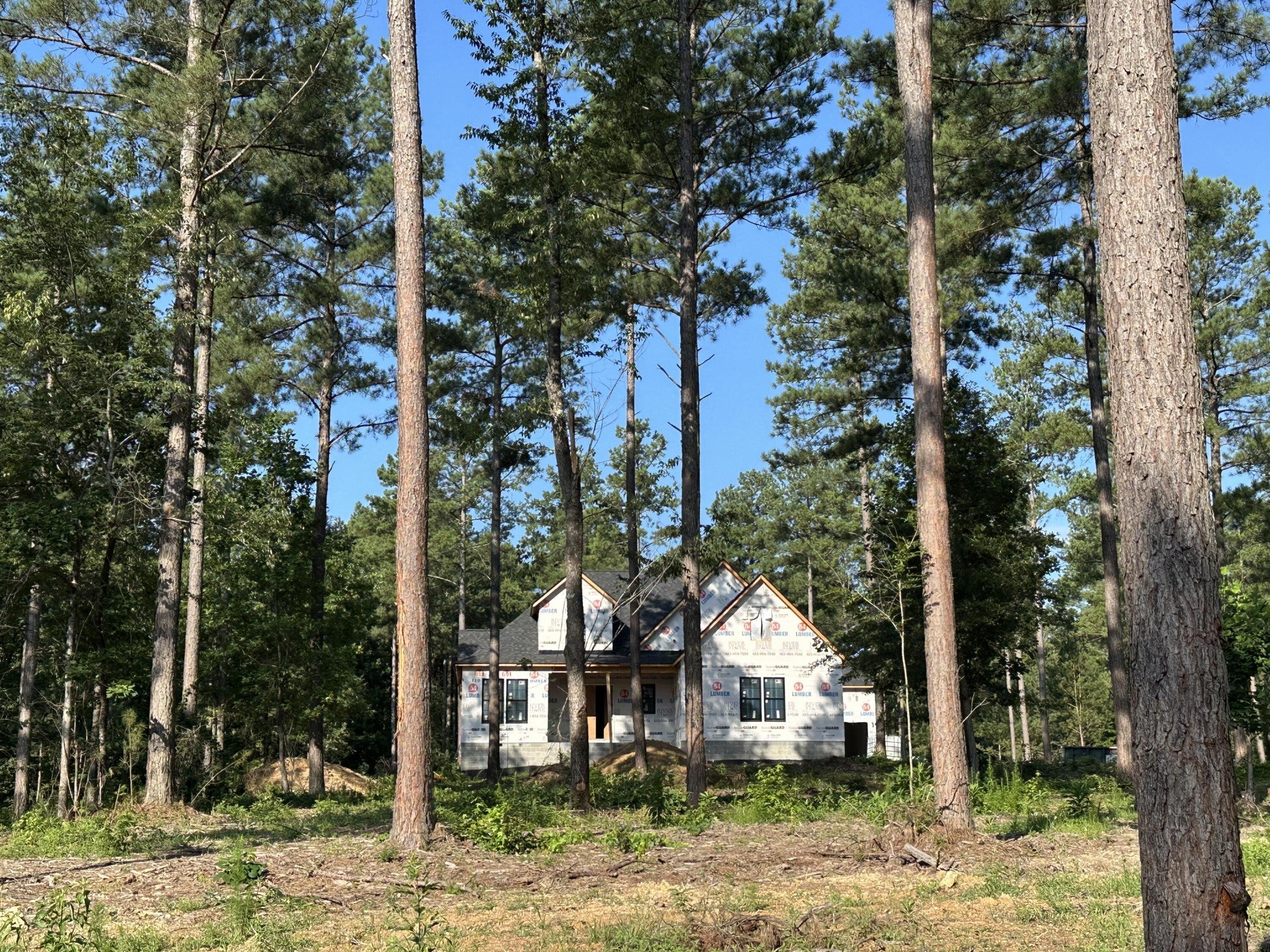 1821 Mccallie Ferry Road — photo