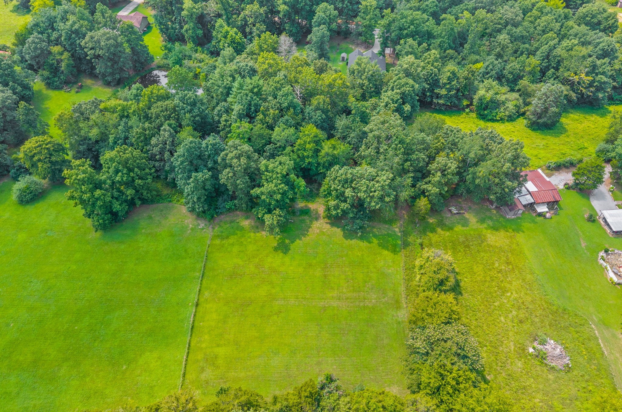 1663 Southside Rd, Southside, TN 37171 — photo 3