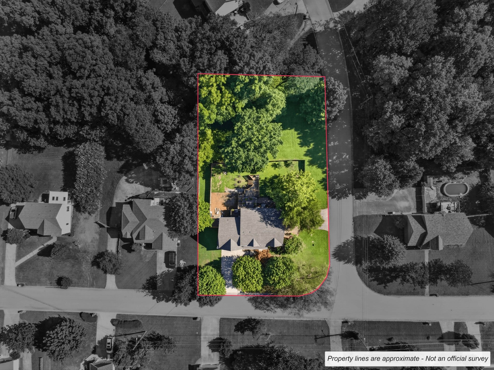 534 Christel Springs Dr — photo
