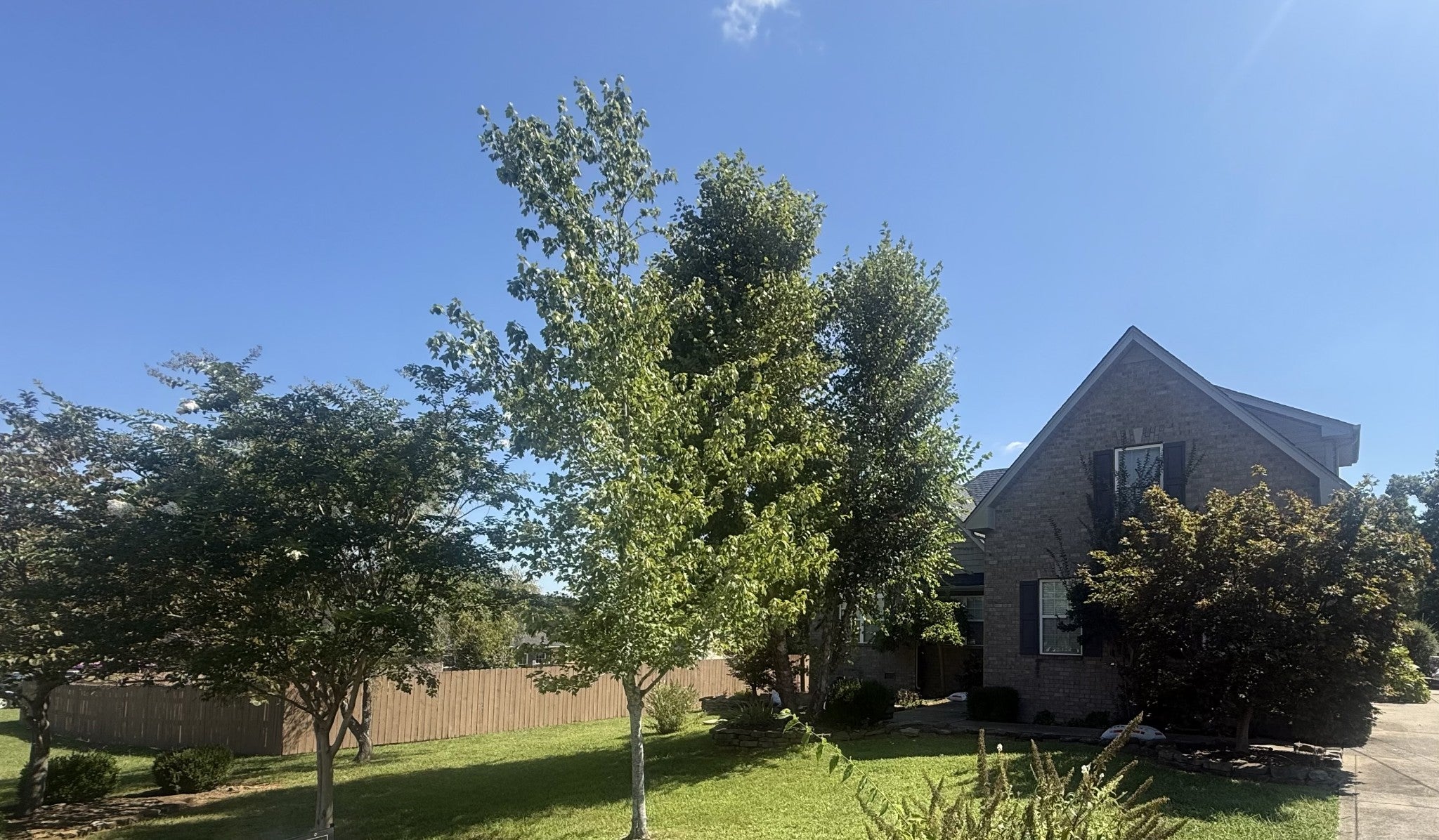 1310 Precept Dr — photo